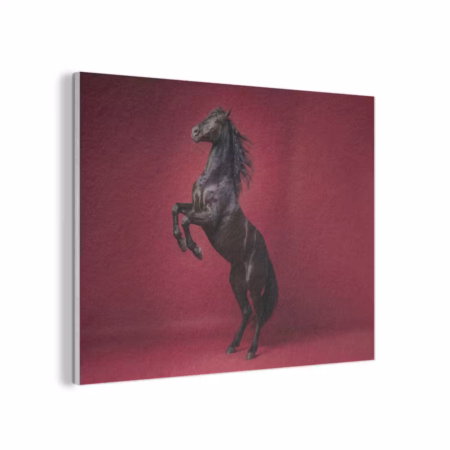 Hengst - Steigert - Rood PET vilt klein -3d