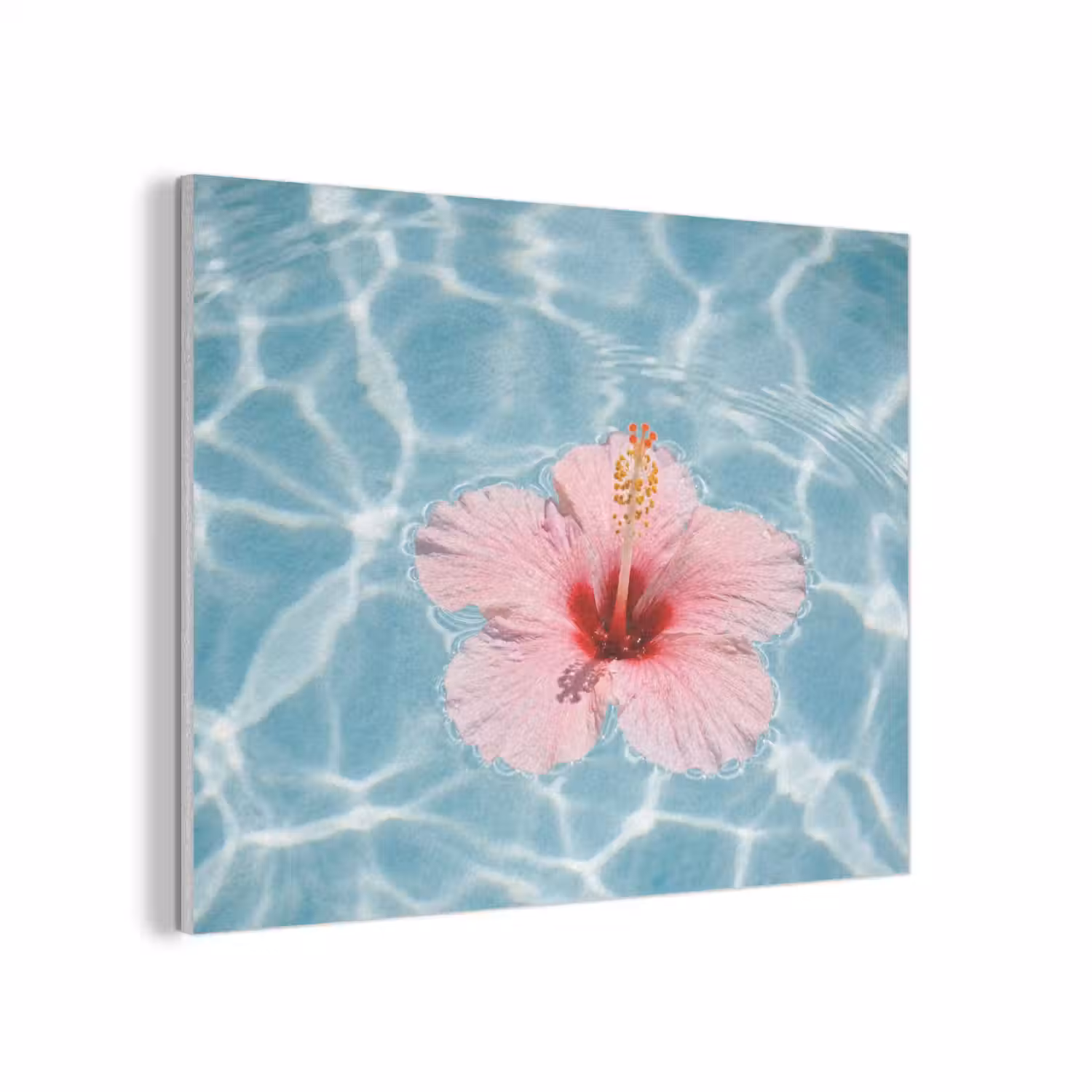 Hibiscus - Water - Roze PET vilt klein -3d