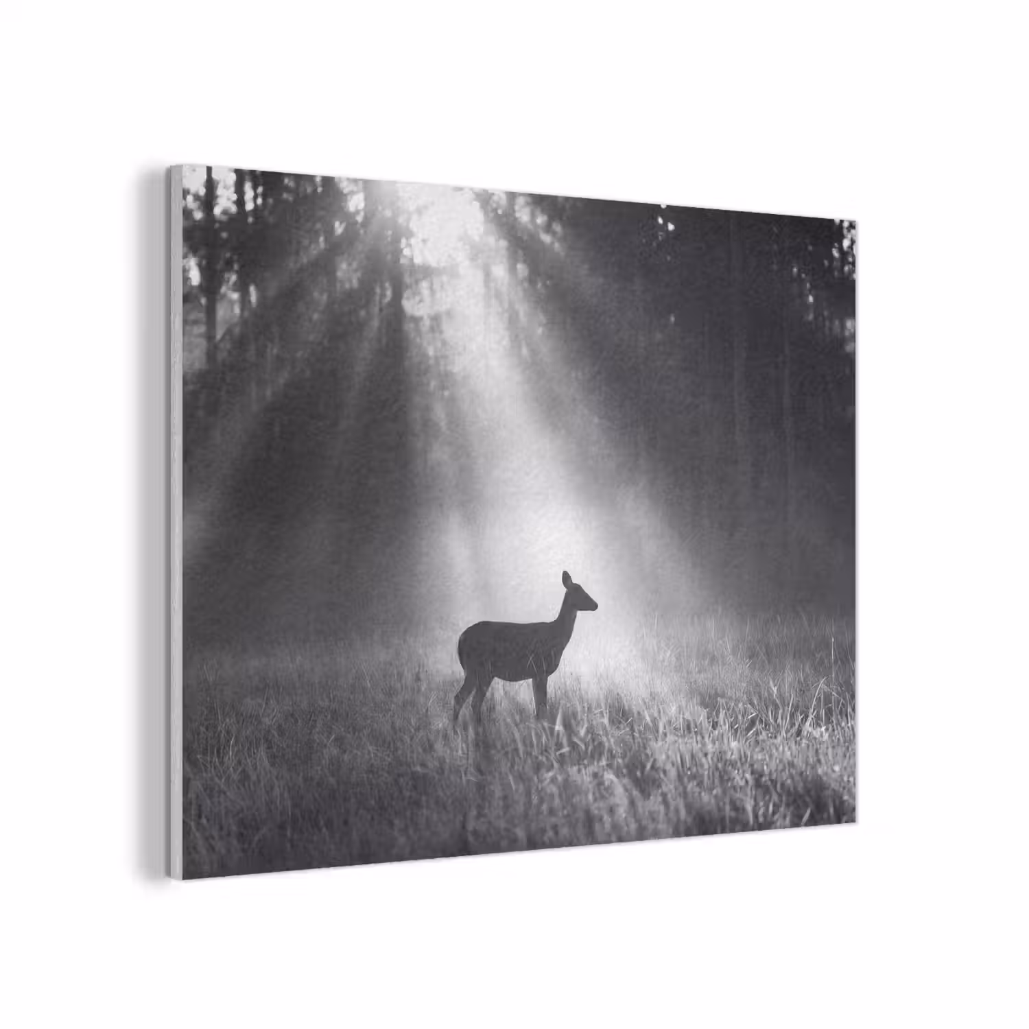 Hert - Bos - Zonnestralen - Zwart-wit - Natuur PET vilt klein -3d