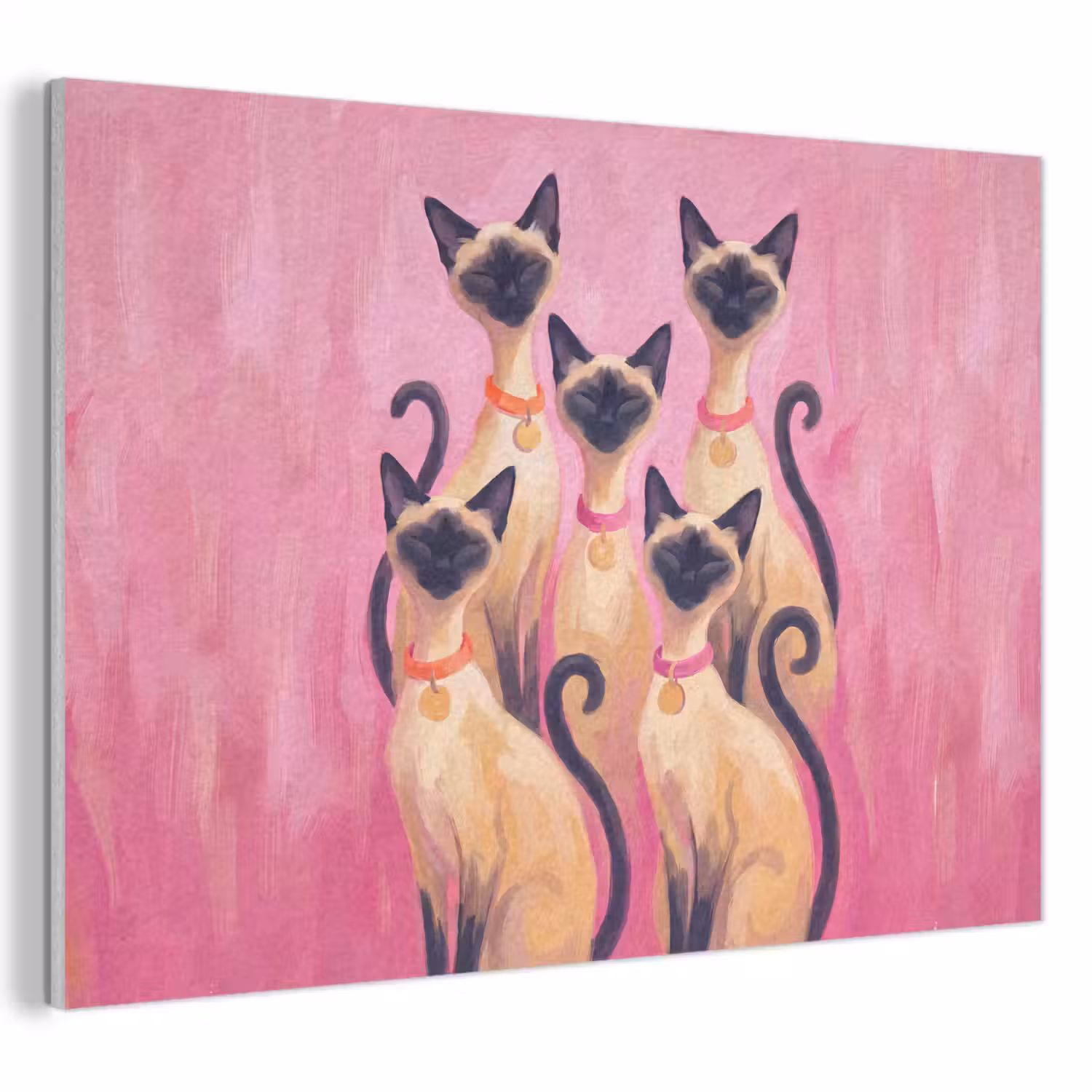 Kat - Groep - Dieren - Modern - Roze PET vilt klein -3d