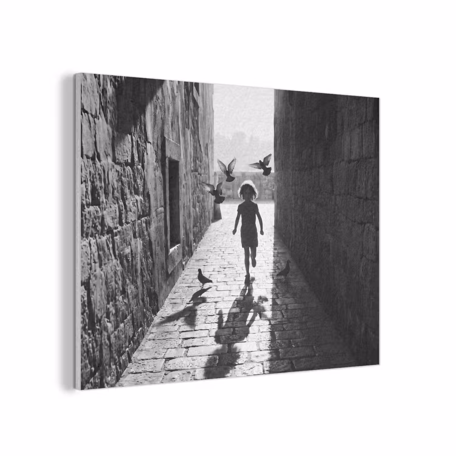 Kind - Vogel - Straat - Zwart-wit - Spelen PET vilt klein -3d