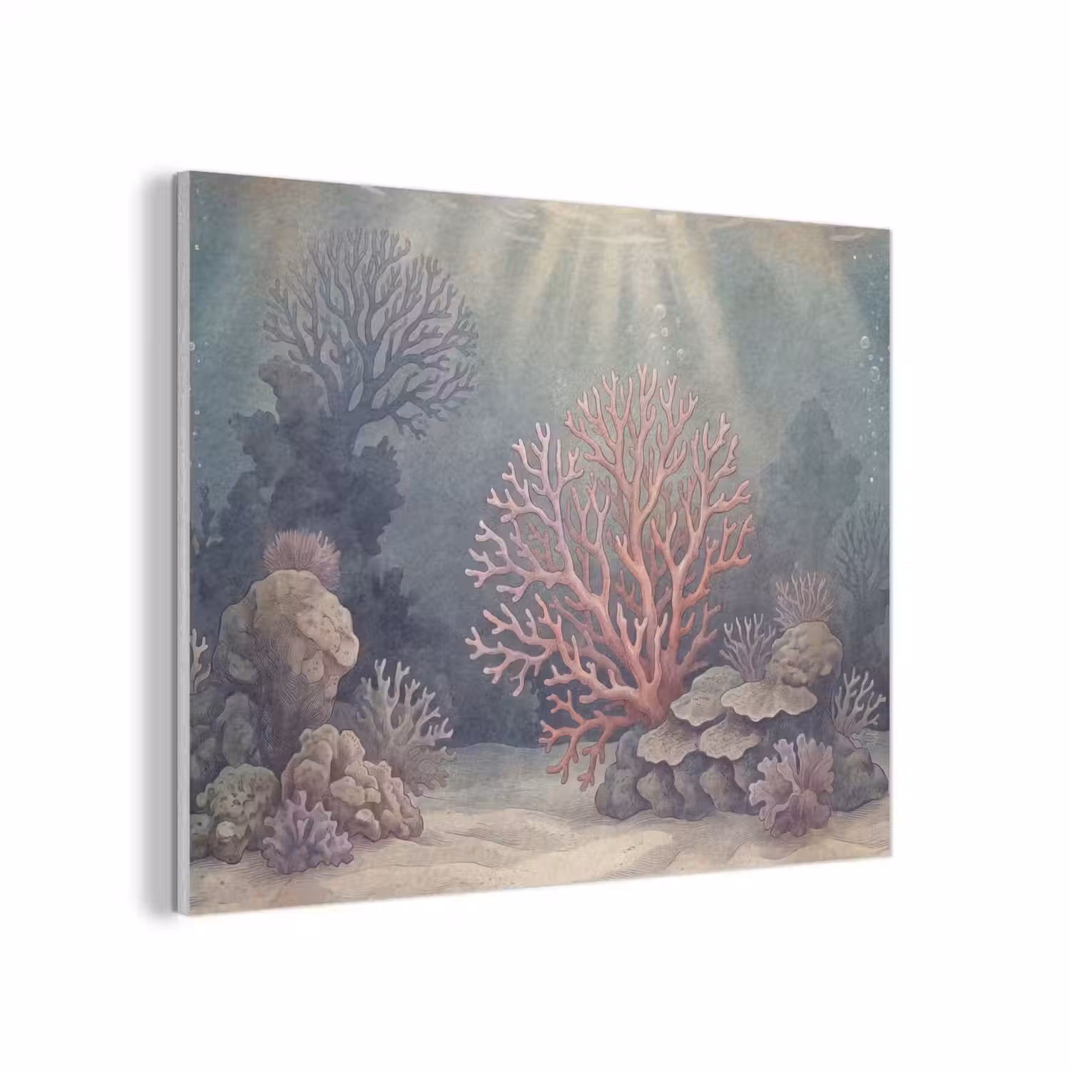 Koraal - Onderwater - Natuur - Roze PET vilt klein -3d