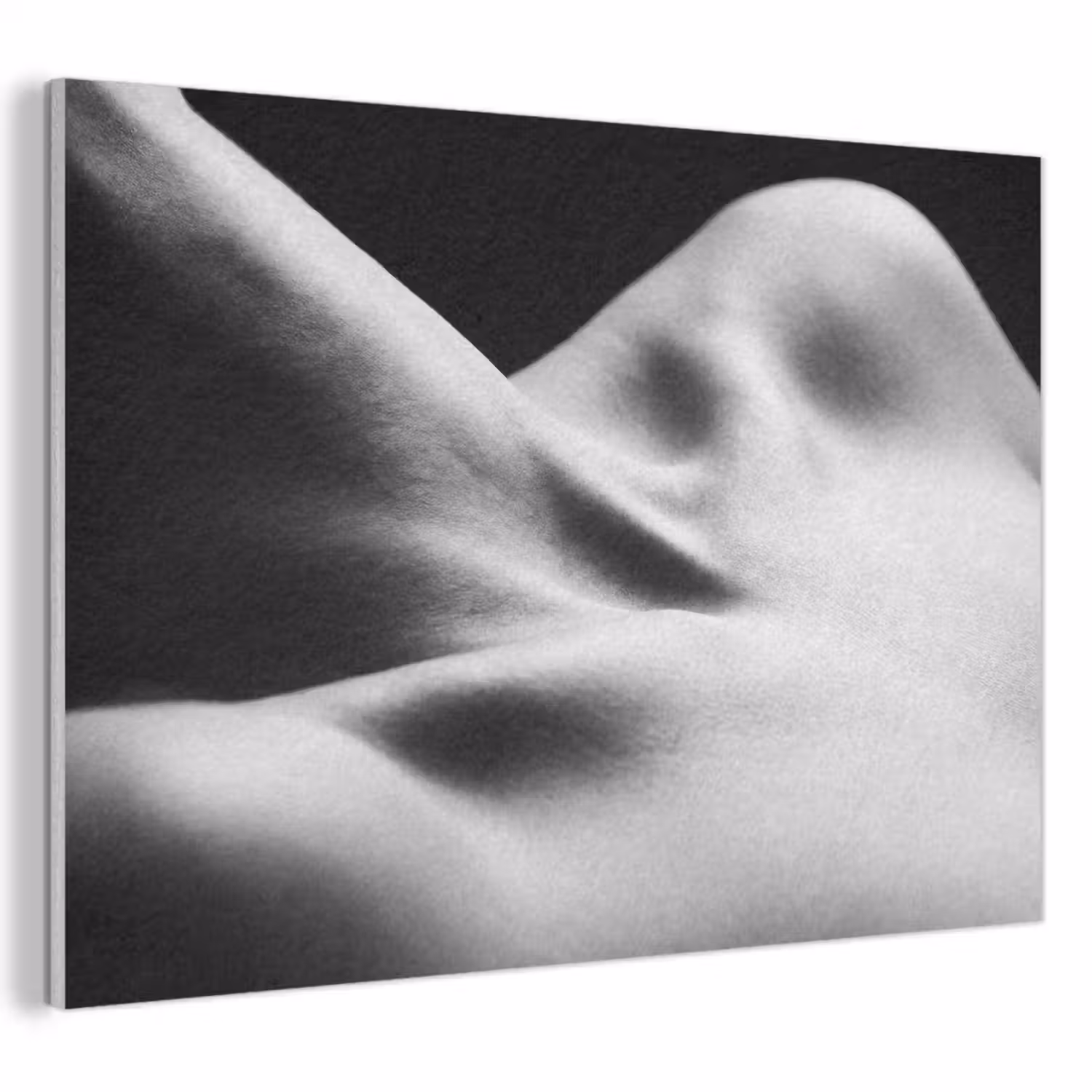 Lichaam - Vormen - Abstract - Zwart - Wit - Sensueel PET vilt klein -3d