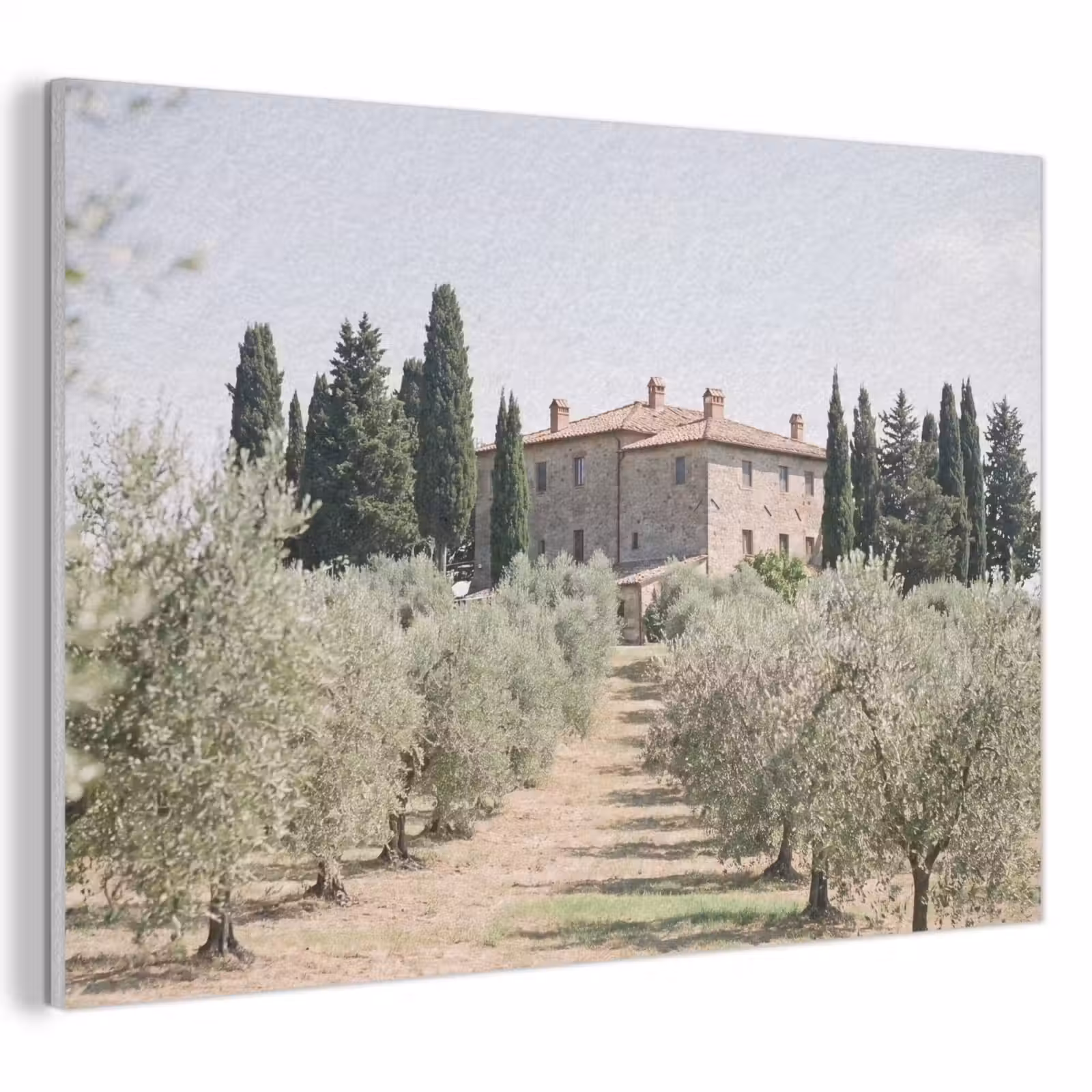 Akustikbild - Landhaus – Olivenbaum – Obstgarten - Landhuis - olijfboom - gaard PET vilt klein