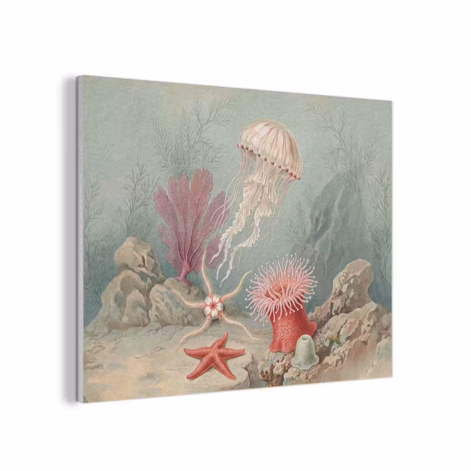 Zeeleven - Kwal - Onderwater - Illustratie - Beige PET vilt klein -3d