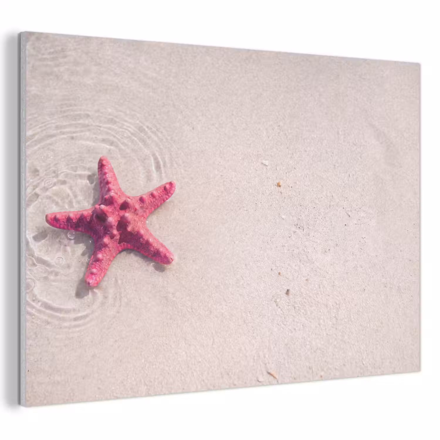 Zeeleven - Zeester - Strand - Roze - Water PET vilt klein -3d