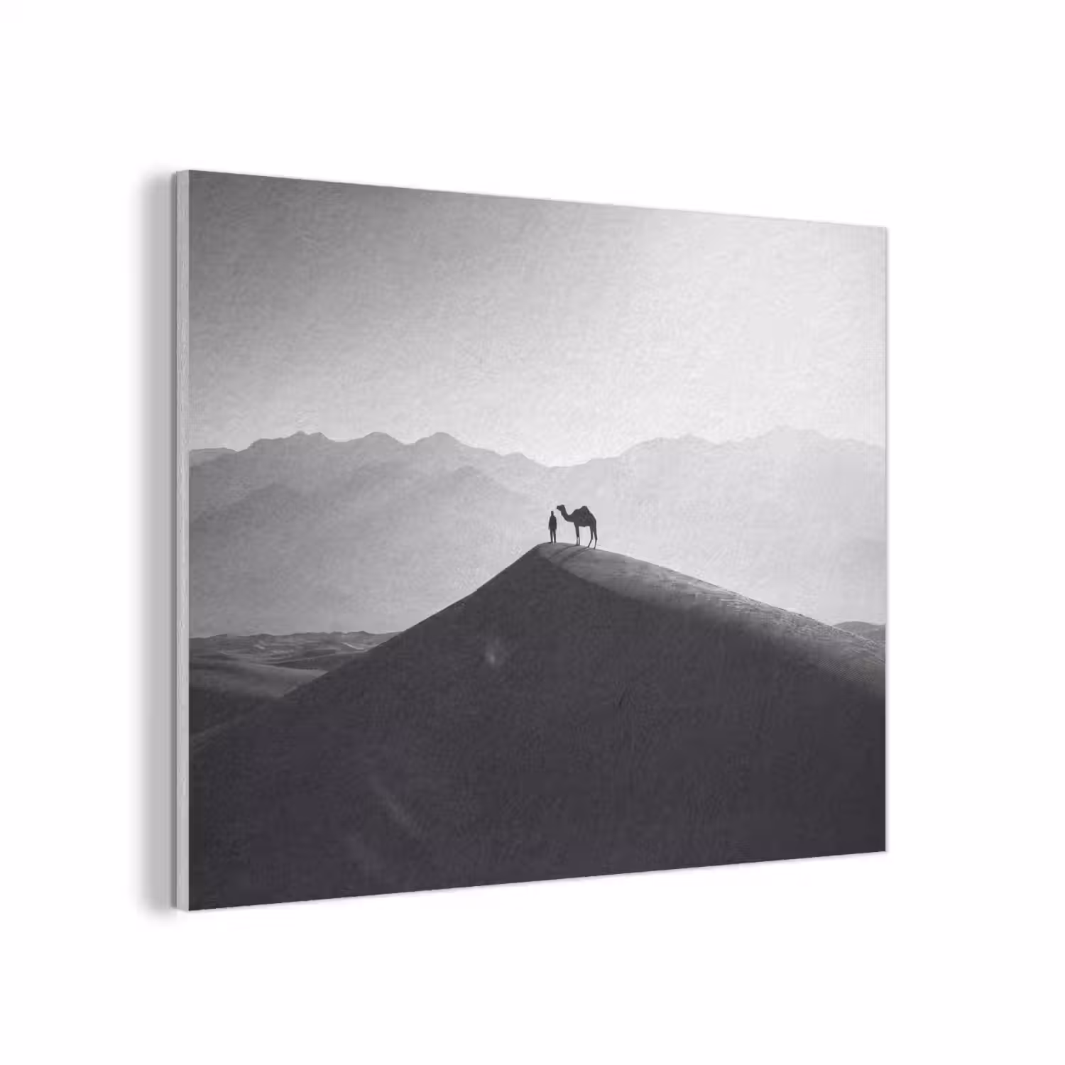 Mens - Kameel - Zandduin - Natuur - Monochroom PET vilt klein -3d