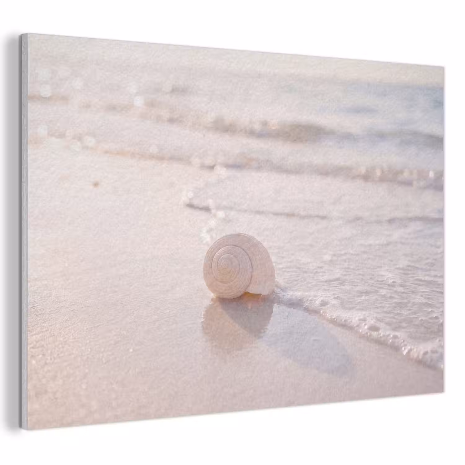 Zeeschelp - Strand - Zee - Natuur - Beige PET vilt klein -3d