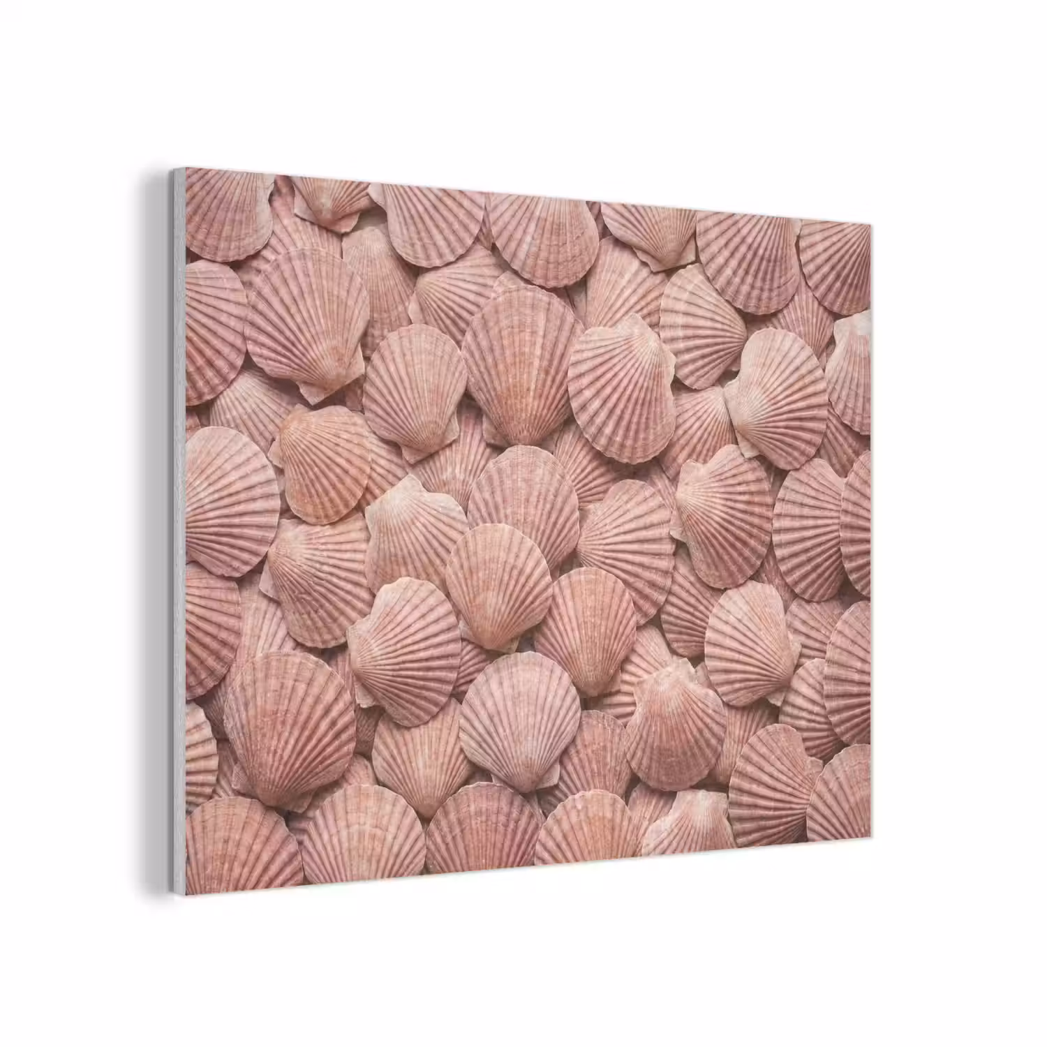 Schelpen - Patroon - Roze PET vilt klein -3d