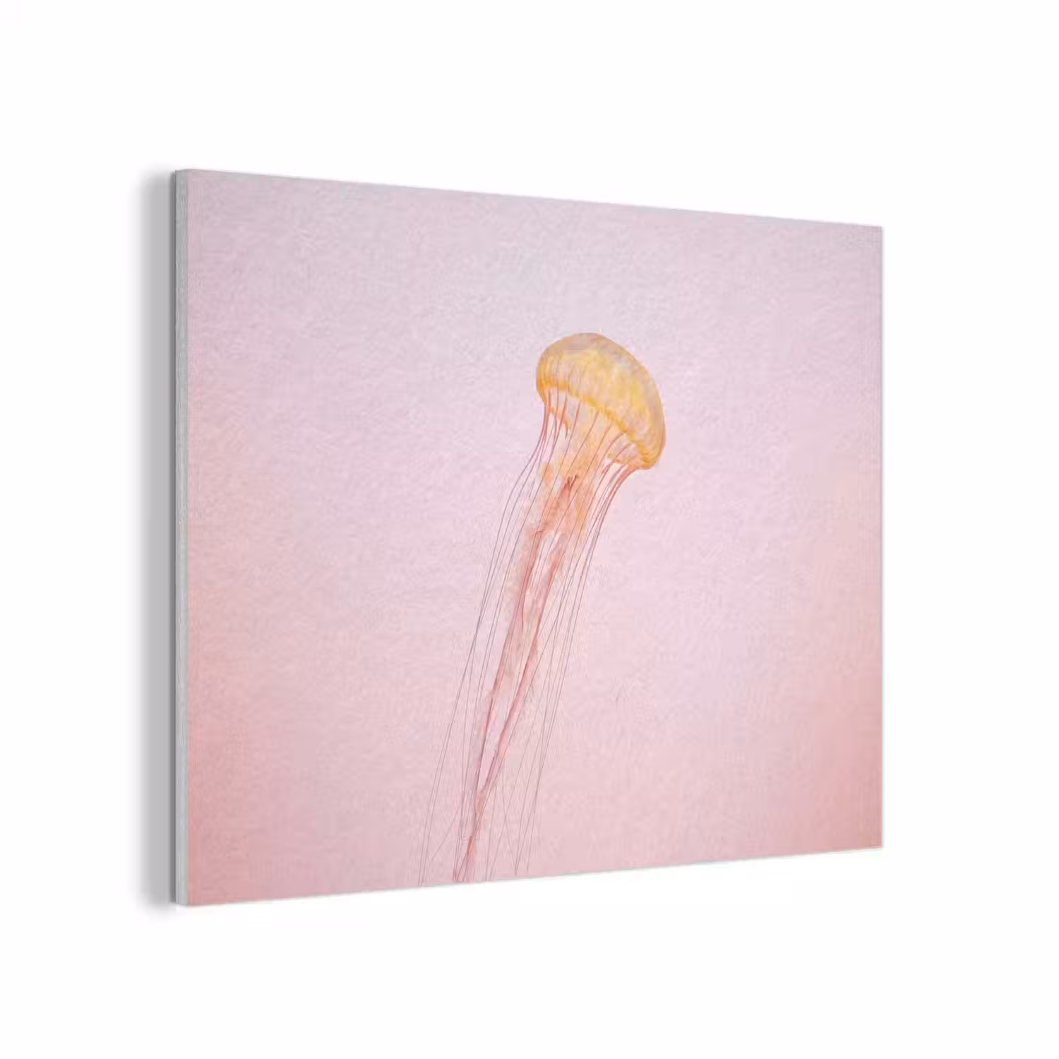 Sierlijk - Kwal - Roze PET vilt klein -3d