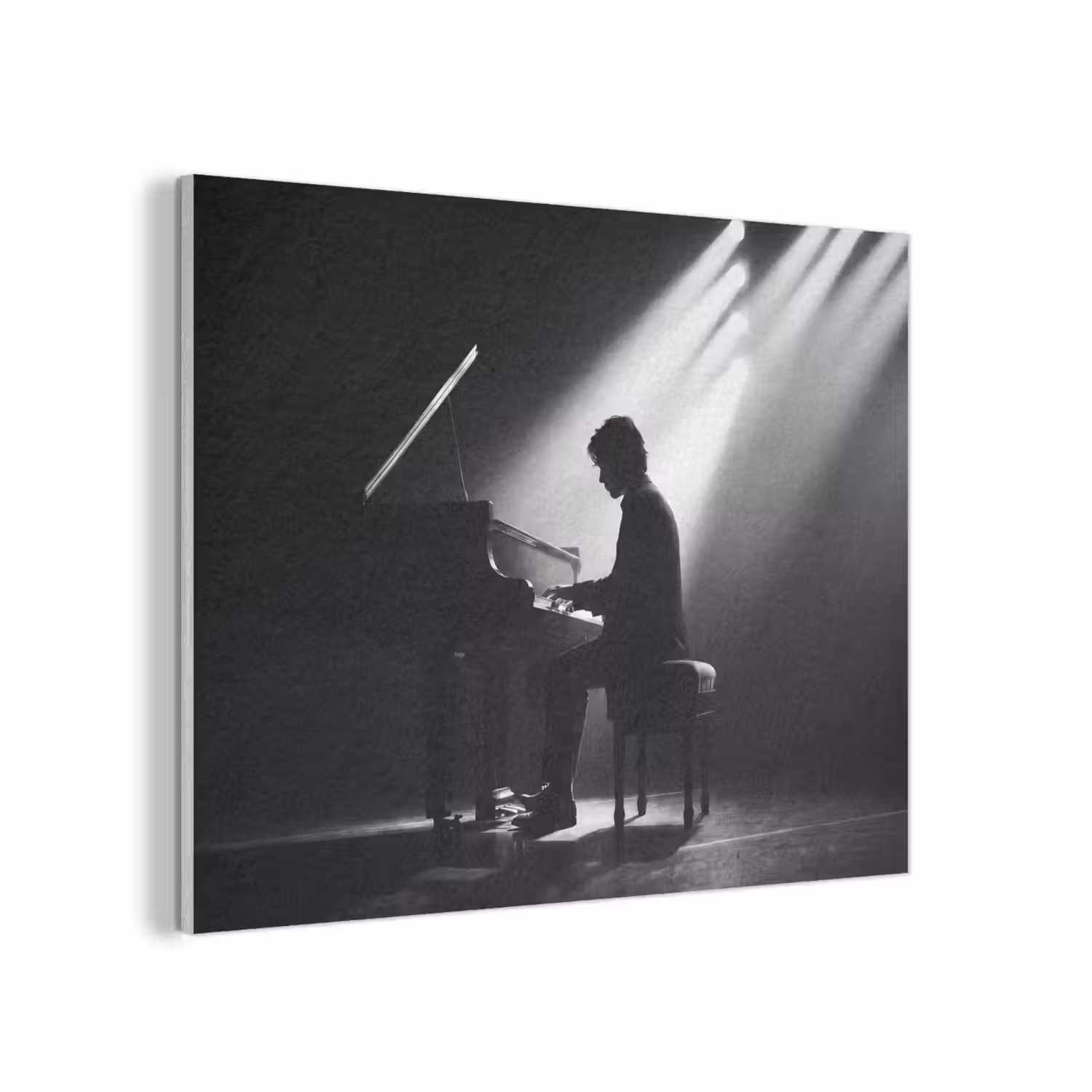 Persoon - Piano - Muziek - Zwart-wit - Podium PET vilt klein -3d