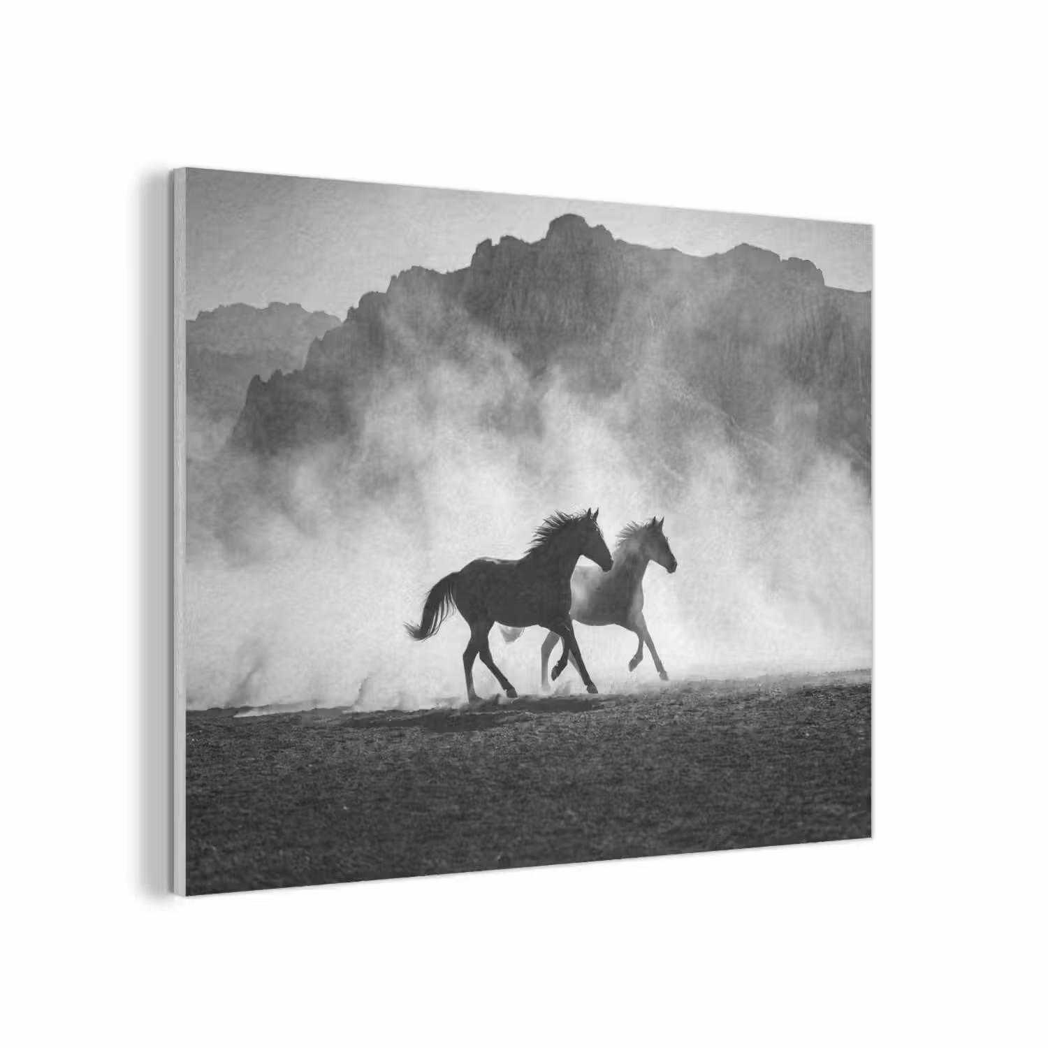 Paard - Ren - Stof - Zwart-wit - Dieren PET vilt klein -3d