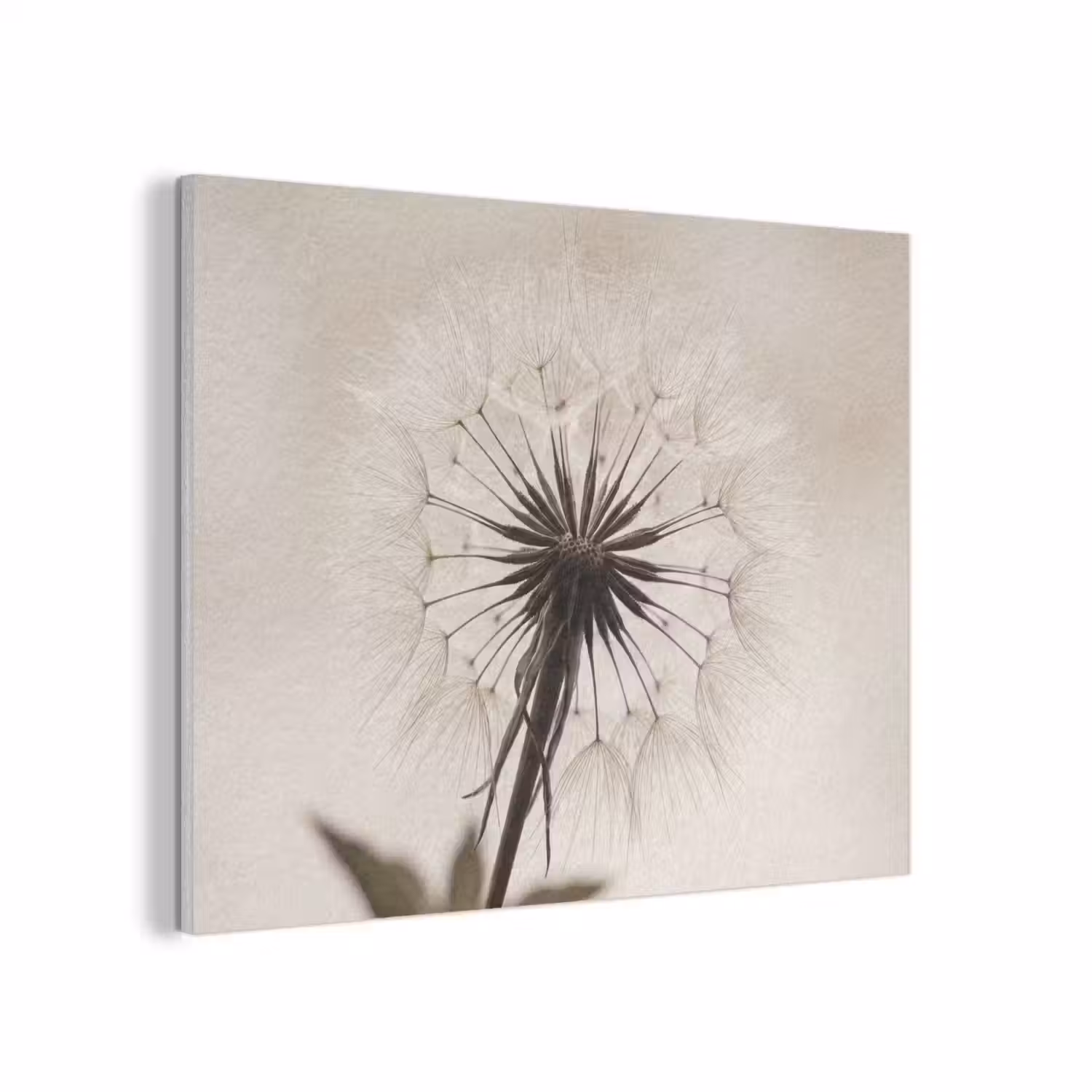 Paardenbloem - Minimalistisch - Wit PET vilt klein -3d