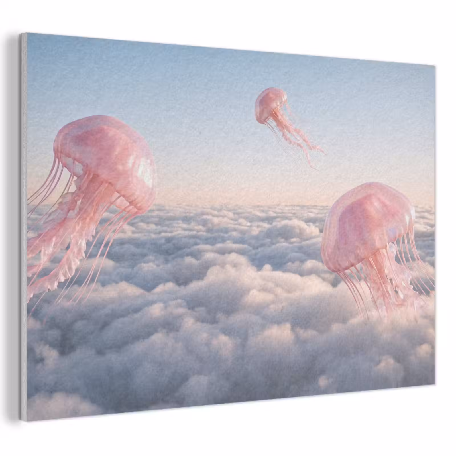 Akustikbild - Rosa Tier – Wolken - Roze dier - Wolken PET vilt klein