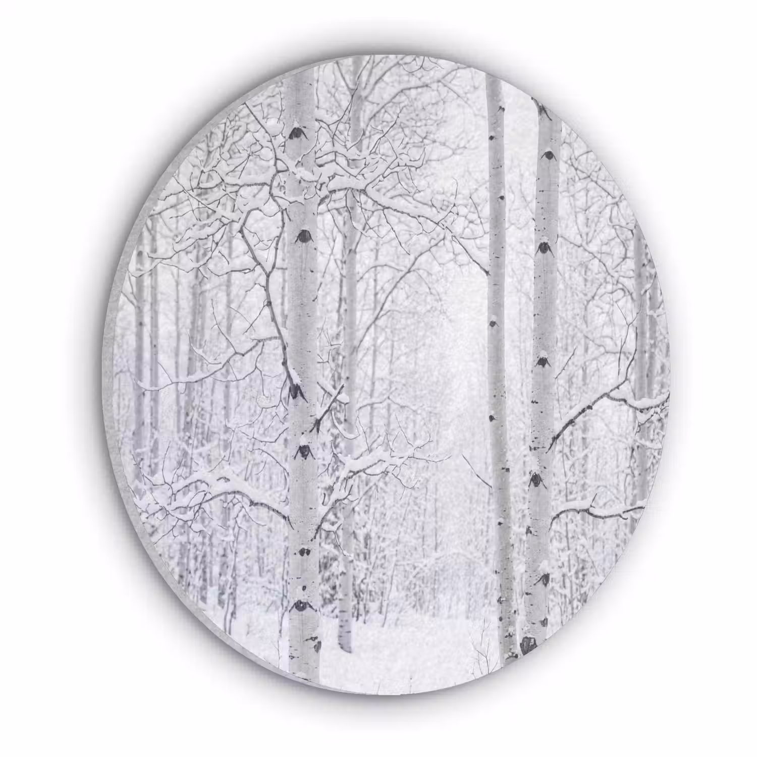 Berkenbomen - Sneeuw - Winter - Bos - Wit Akoestische PET Vilt - Rond klein -3d