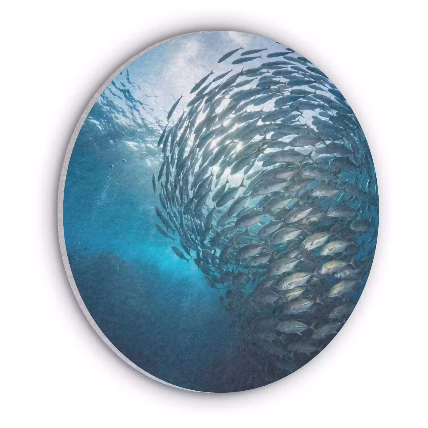 Vis - School - Oceaan - Natuur - Blauw Akoestische PET Vilt - Rond klein -3d