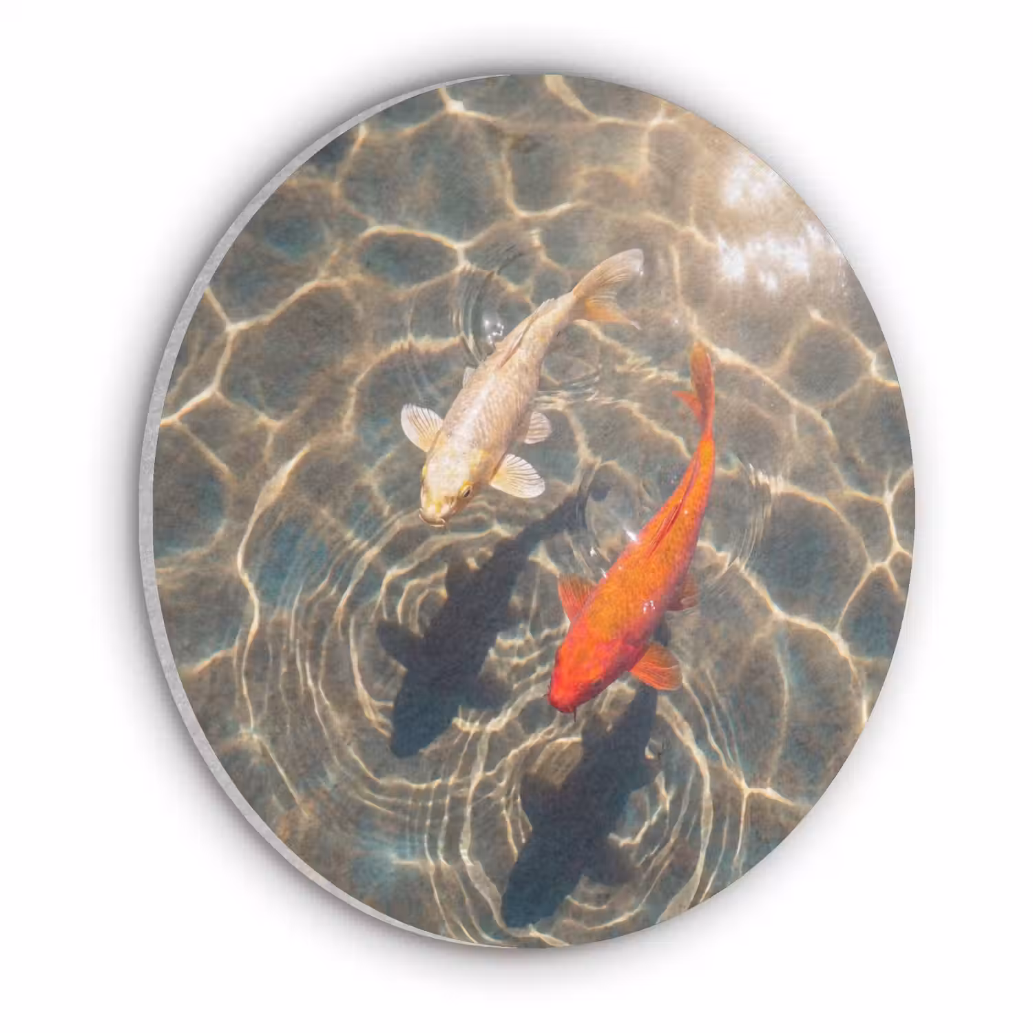 Vis - Water - Dieren - Oranje - Goud Akoestische PET Vilt - Rond klein -3d