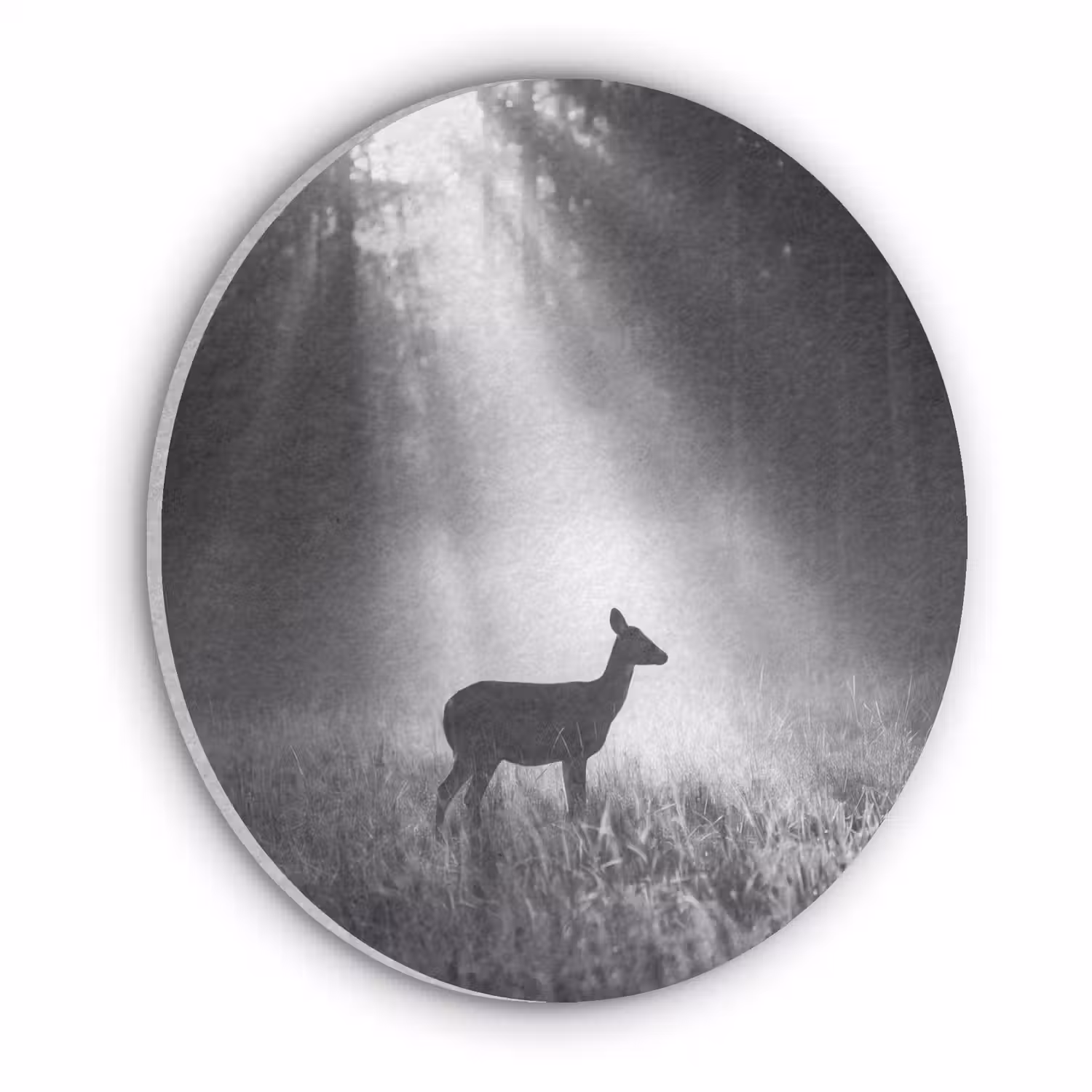Hert - Bos - Zonnestralen - Zwart-wit - Natuur Akoestische PET Vilt - Rond klein -3d