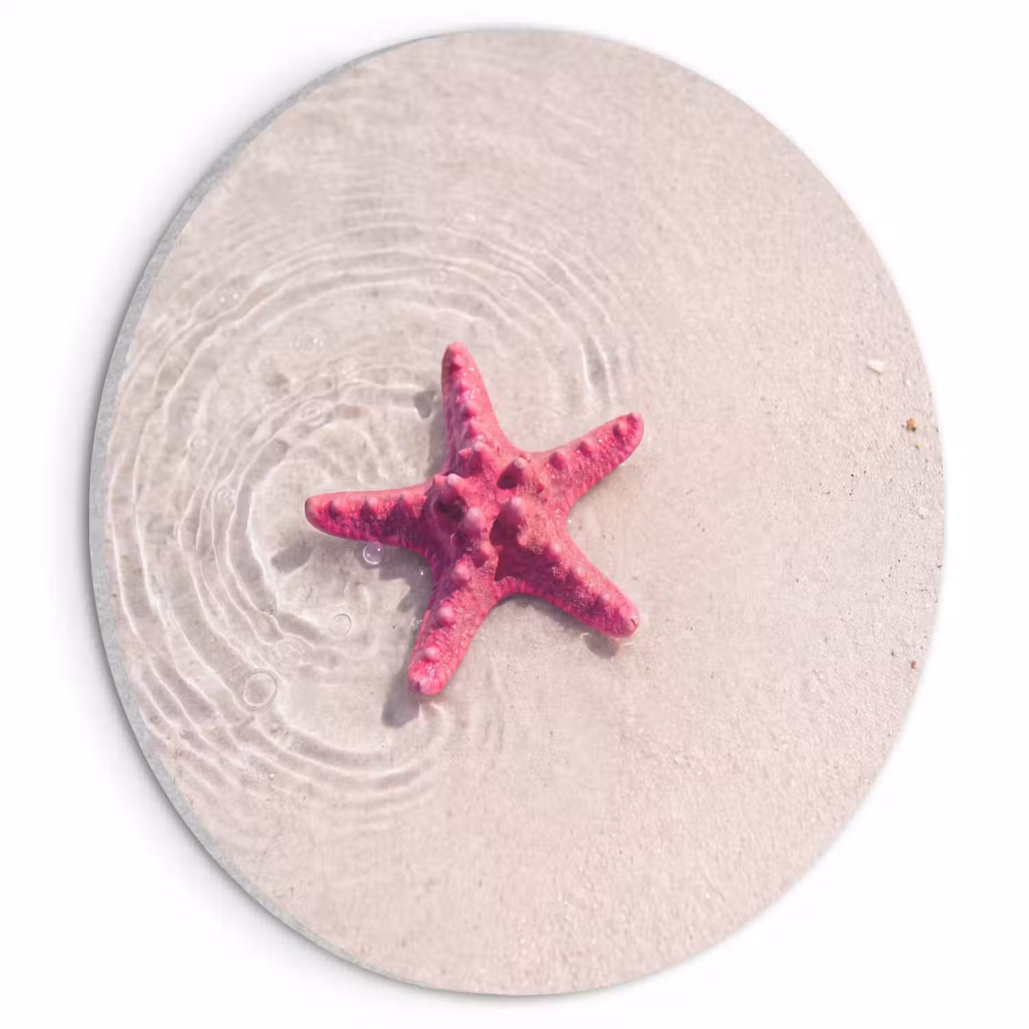 Zeeleven - Zeester - Strand - Roze - Water Akoestische PET Vilt - Rond klein -3d