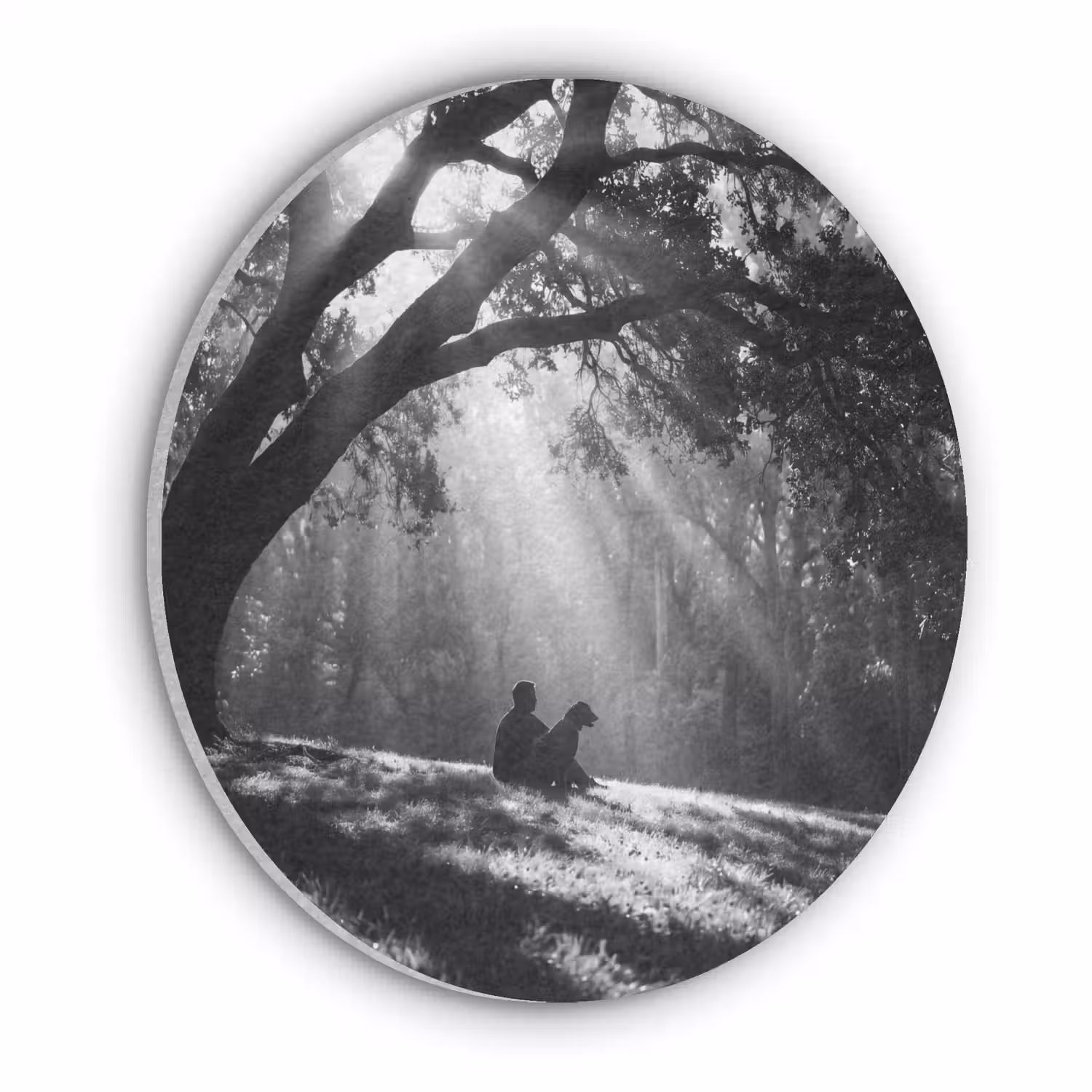 Mens - Hond - Natuur - Zwart-wit - Silhouet Akoestische PET Vilt - Rond klein -3d