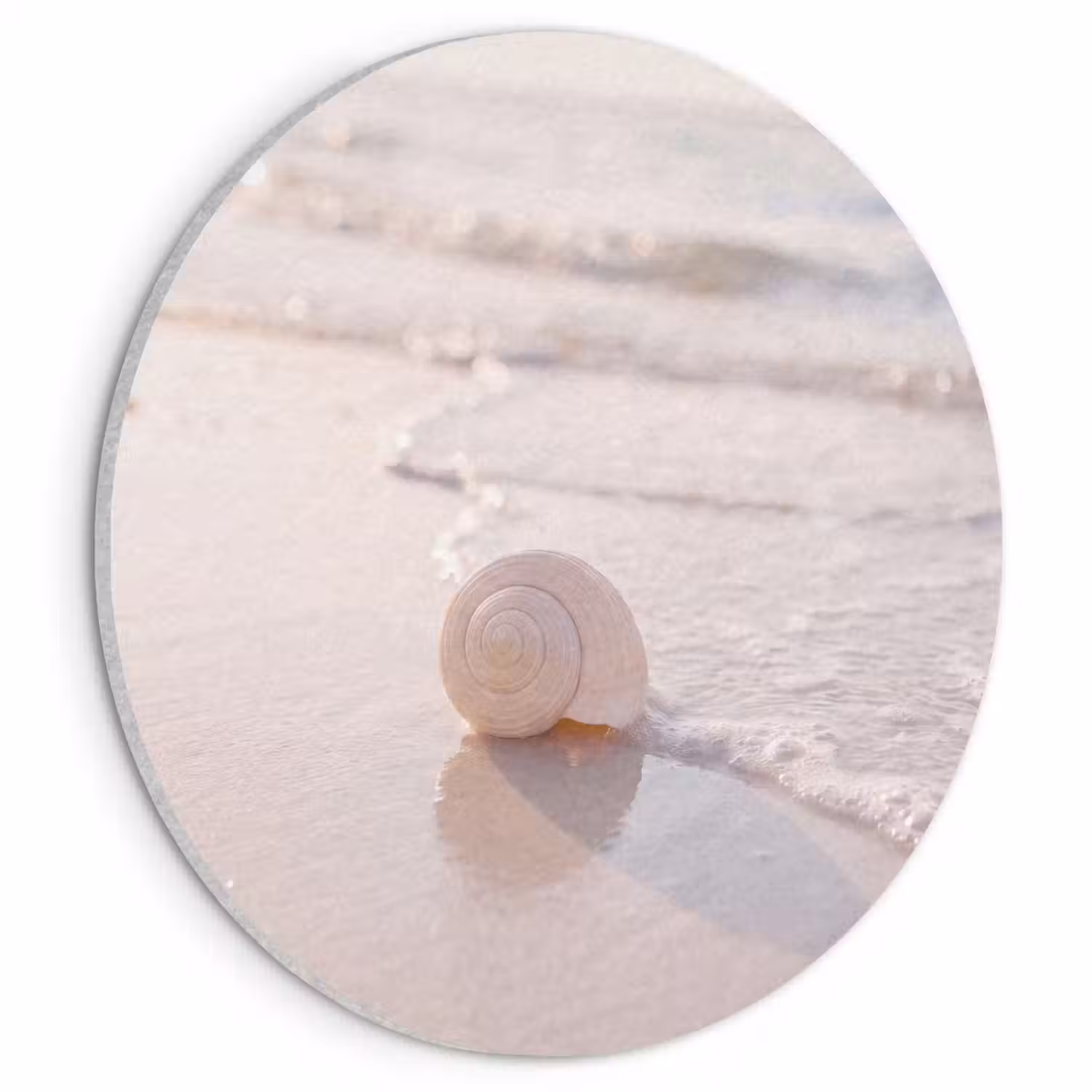 Zeeschelp - Strand - Zee - Natuur - Beige Akoestische PET Vilt - Rond klein -3d