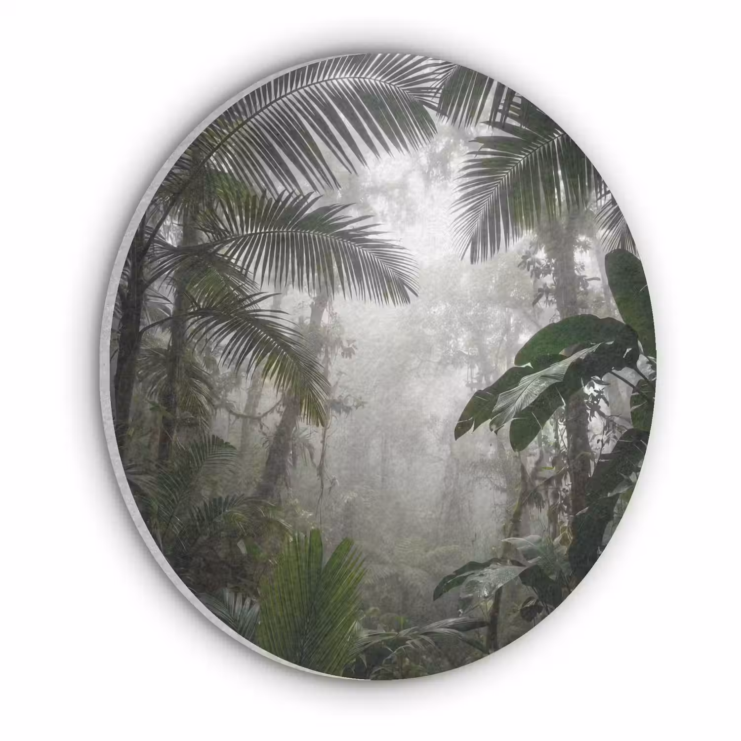 Natuur - Jungle - Mist - Groen - Bladeren Akoestische PET Vilt - Rond klein -3d