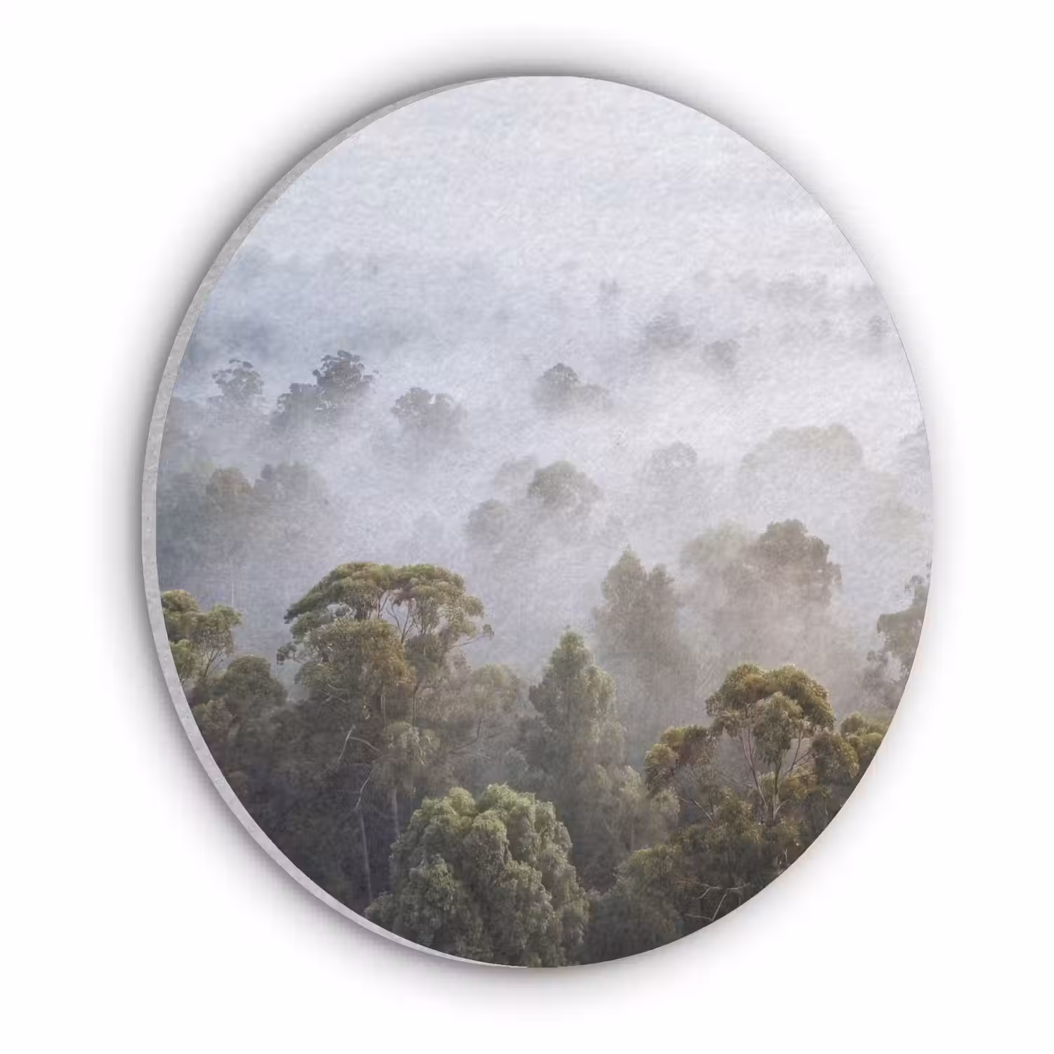Natuur - Mist - Bos - Ochtend - Goud Akoestische PET Vilt - Rond klein -3d