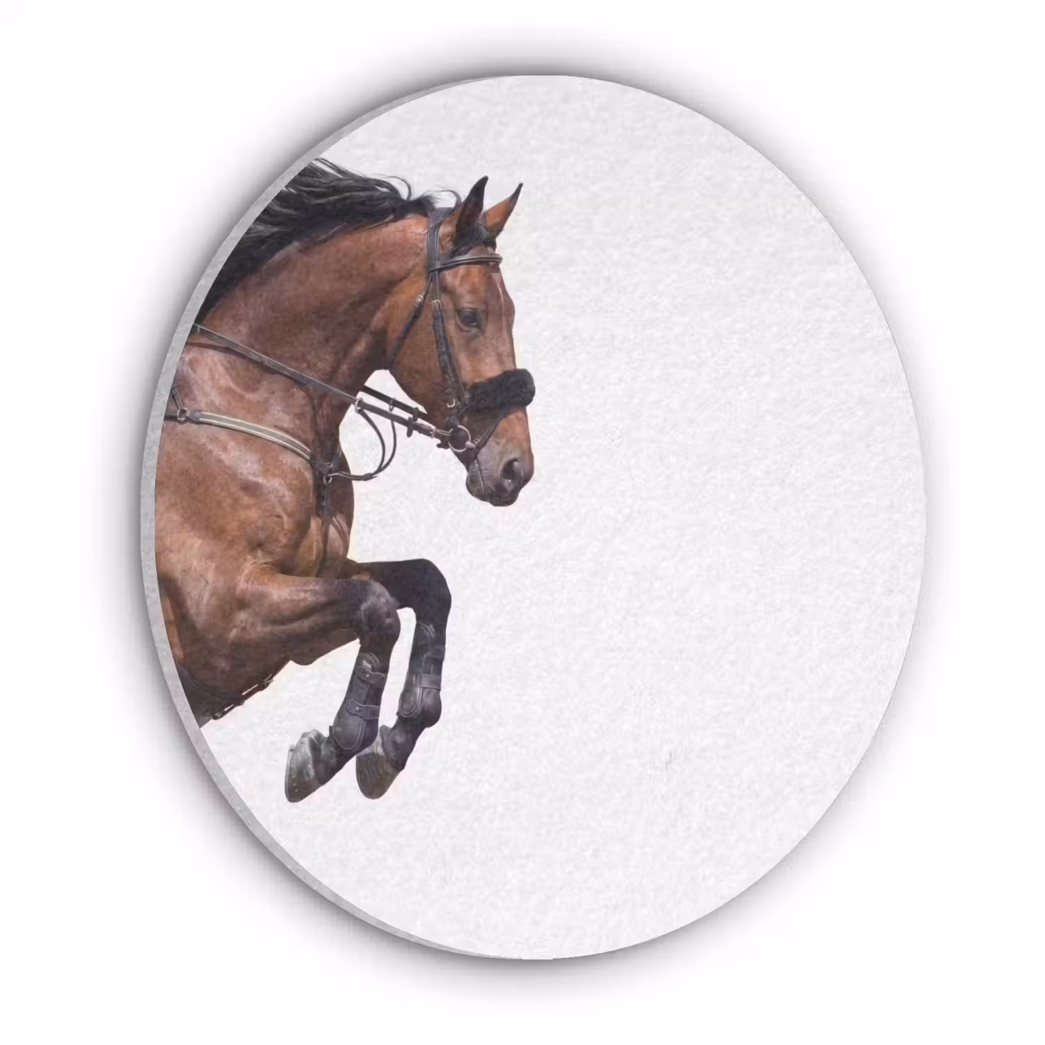 Paard - Springen - Modern Akoestische PET Vilt - Rond klein -3d