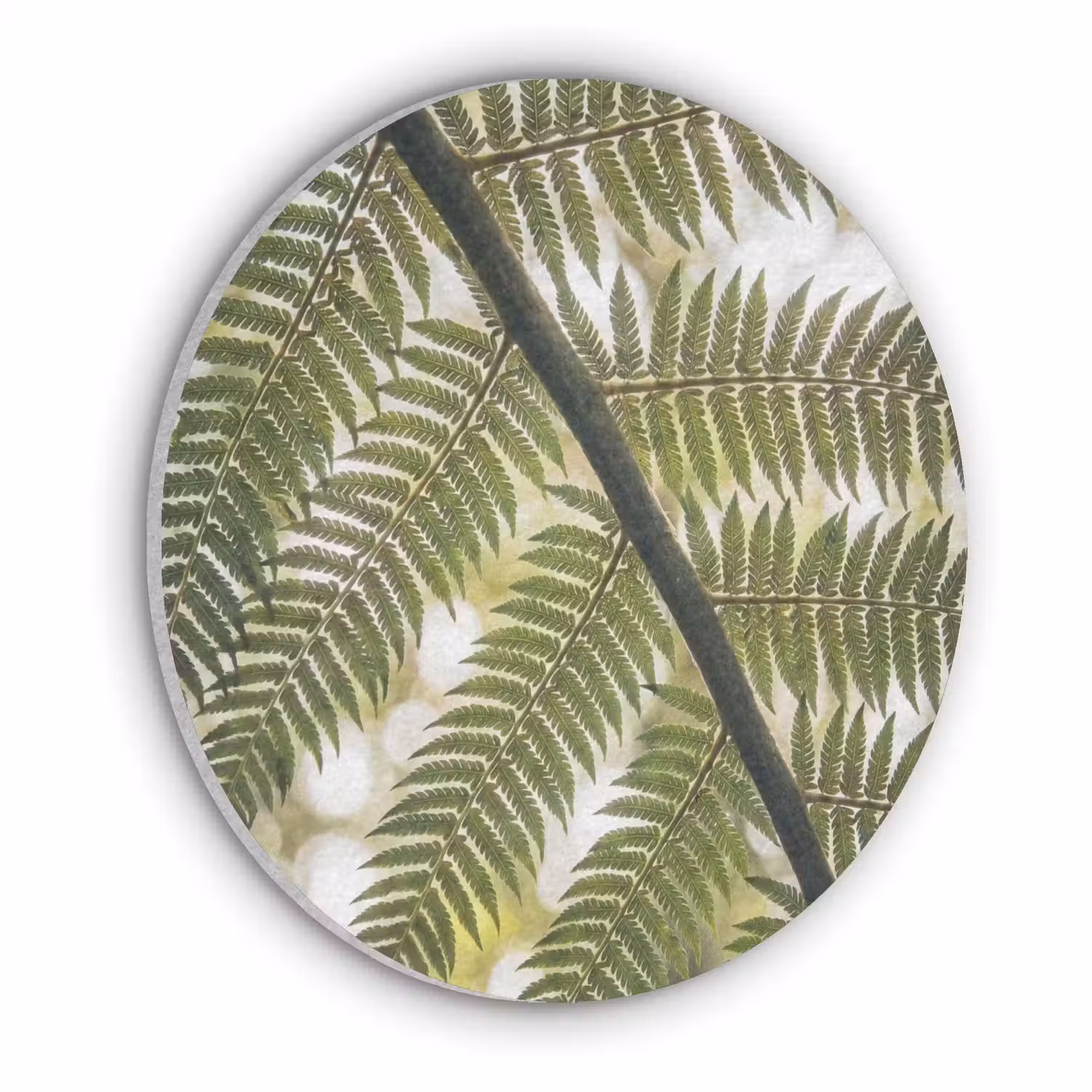 Plant - Blad - Natuur - Groen - Detail Akoestische PET Vilt - Rond klein -3d