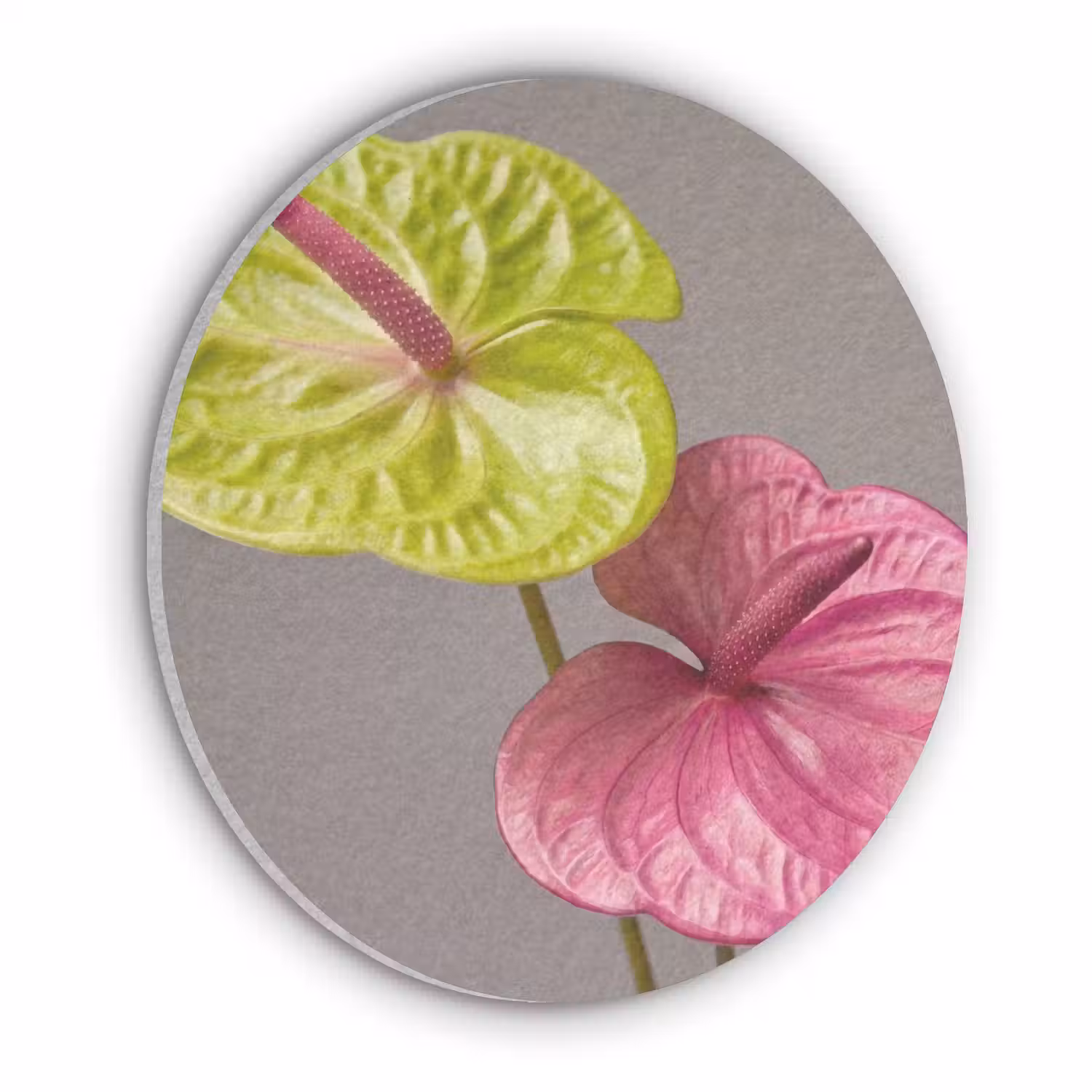 Planten - Anthurium - Groen - Roze Akoestische PET Vilt - Rond klein -3d