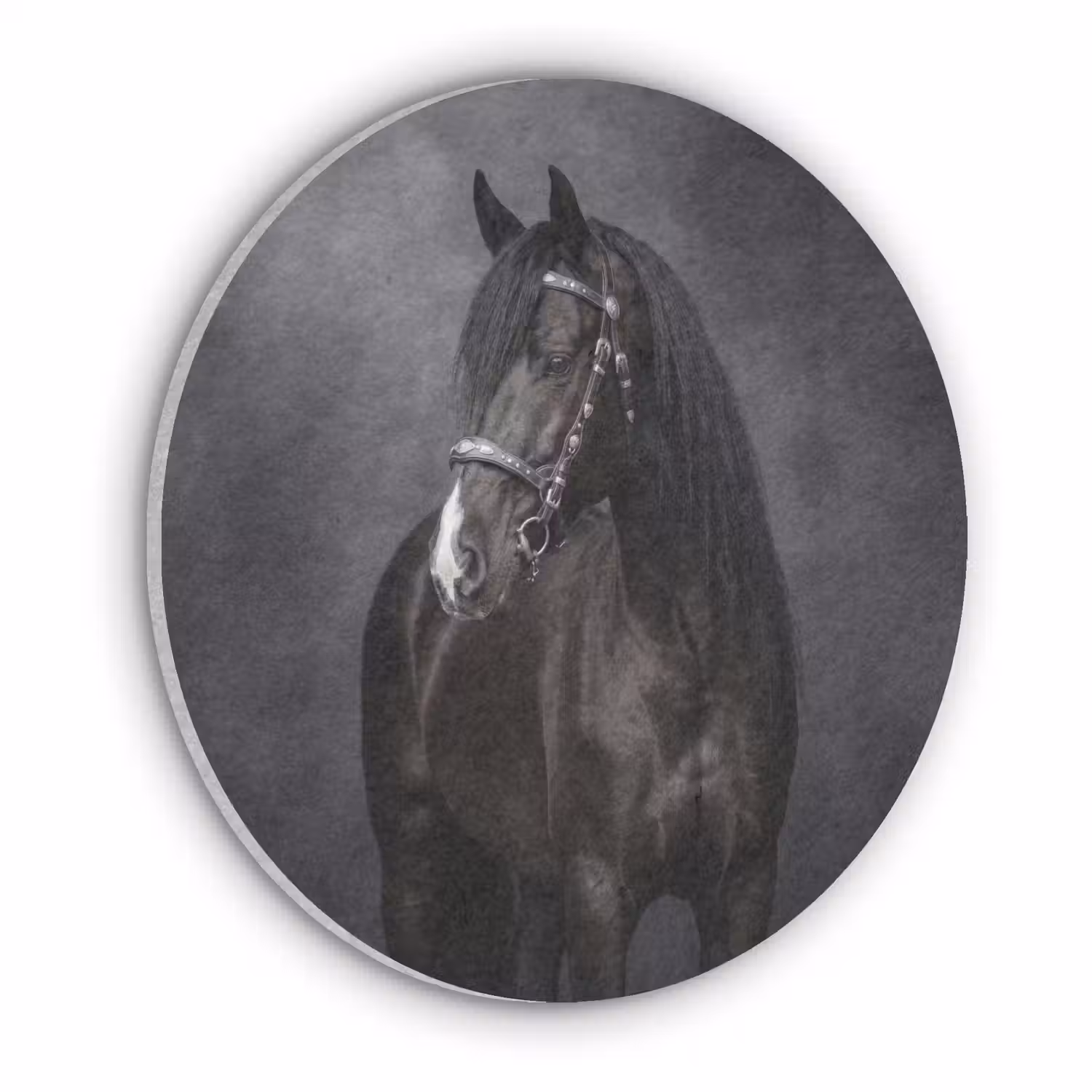 Portret - Paard - Zwart Akoestische PET Vilt - Rond klein -3d