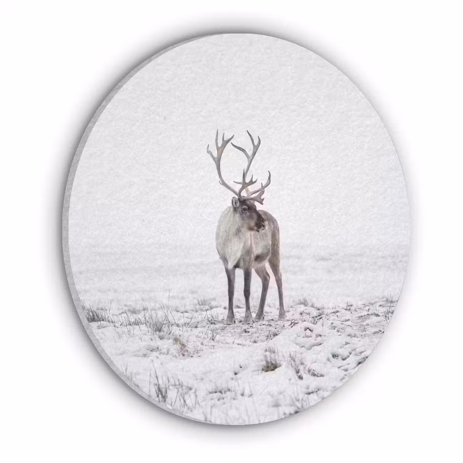 Rendier - Gewei - Sneeuw - Winter Akoestische PET Vilt - Rond klein -3d