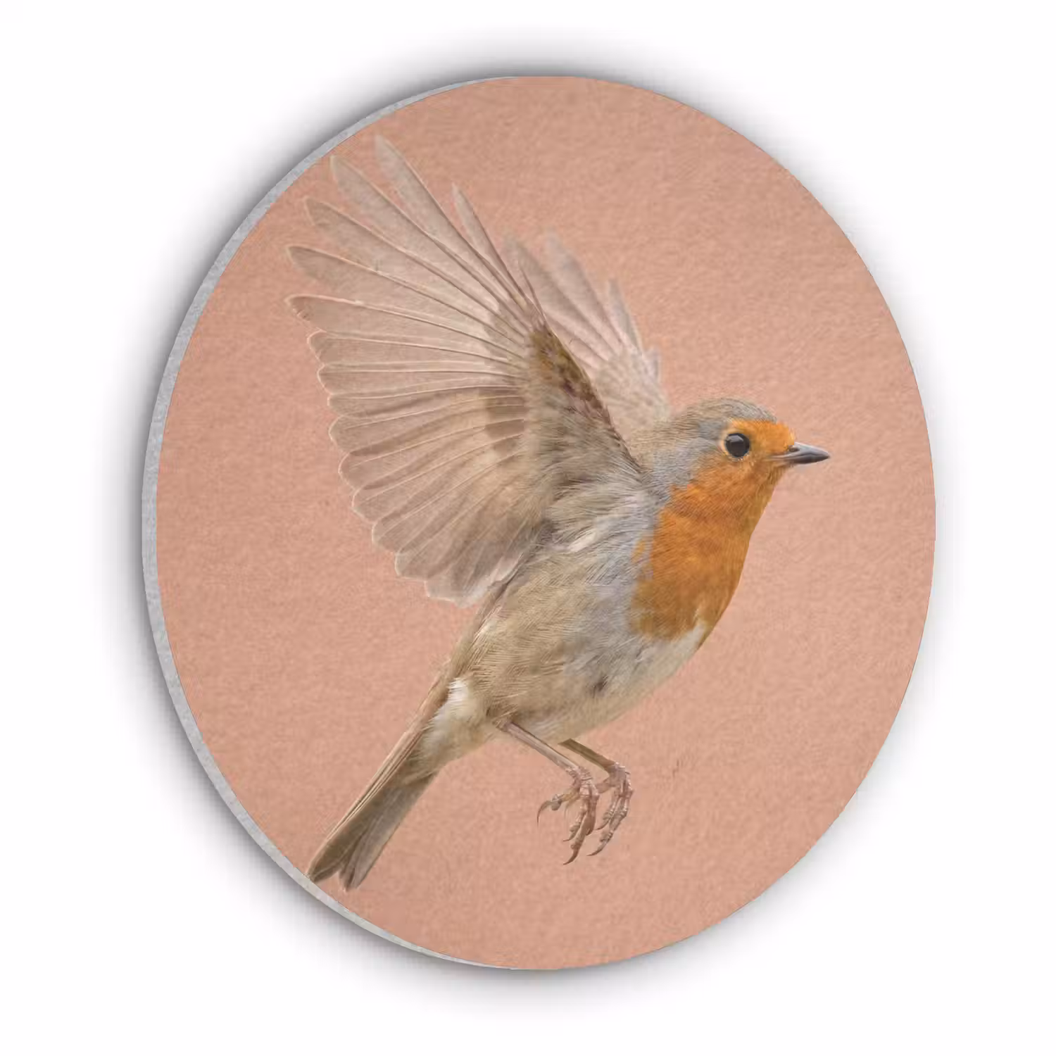 Roodborst - Natuur - Roze Akoestische PET Vilt - Rond klein -3d