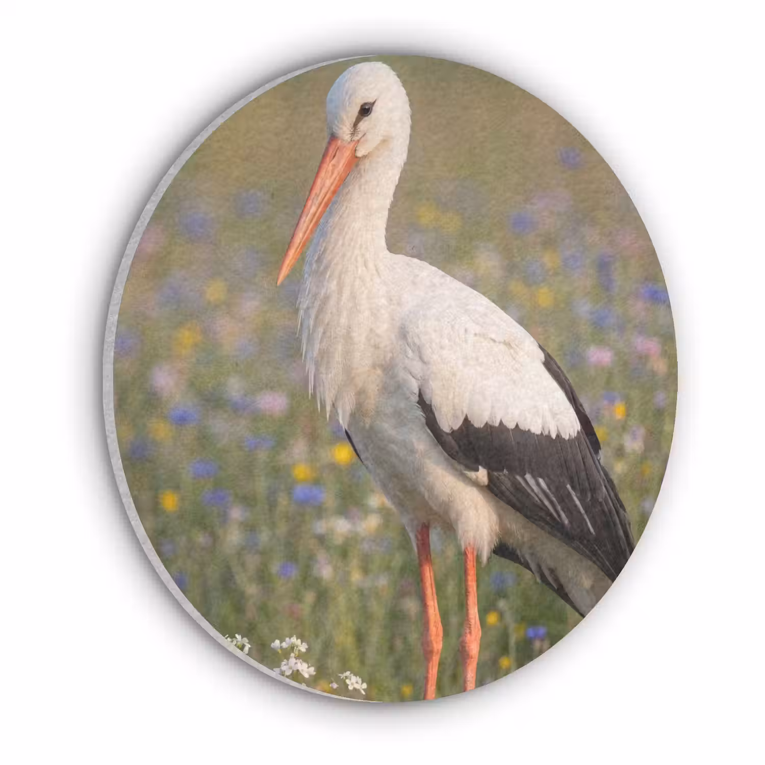 Ooienvaar - Bloemen - Weide - Kleurrijk Akoestische PET Vilt - Rond klein -3d