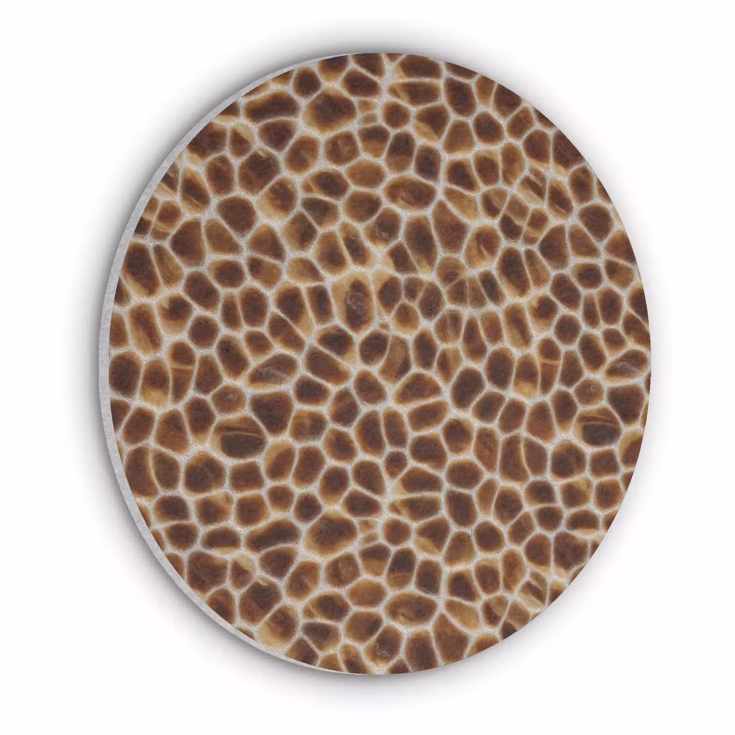 Schildpad - Bruin - Patroon Akoestische PET Vilt - Rond klein 838 -3d