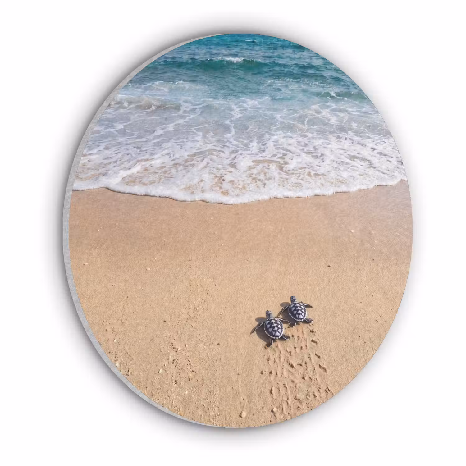 Schildpad - Jong - Strand - Oceaan - Blauw Akoestische PET Vilt - Rond klein -3d