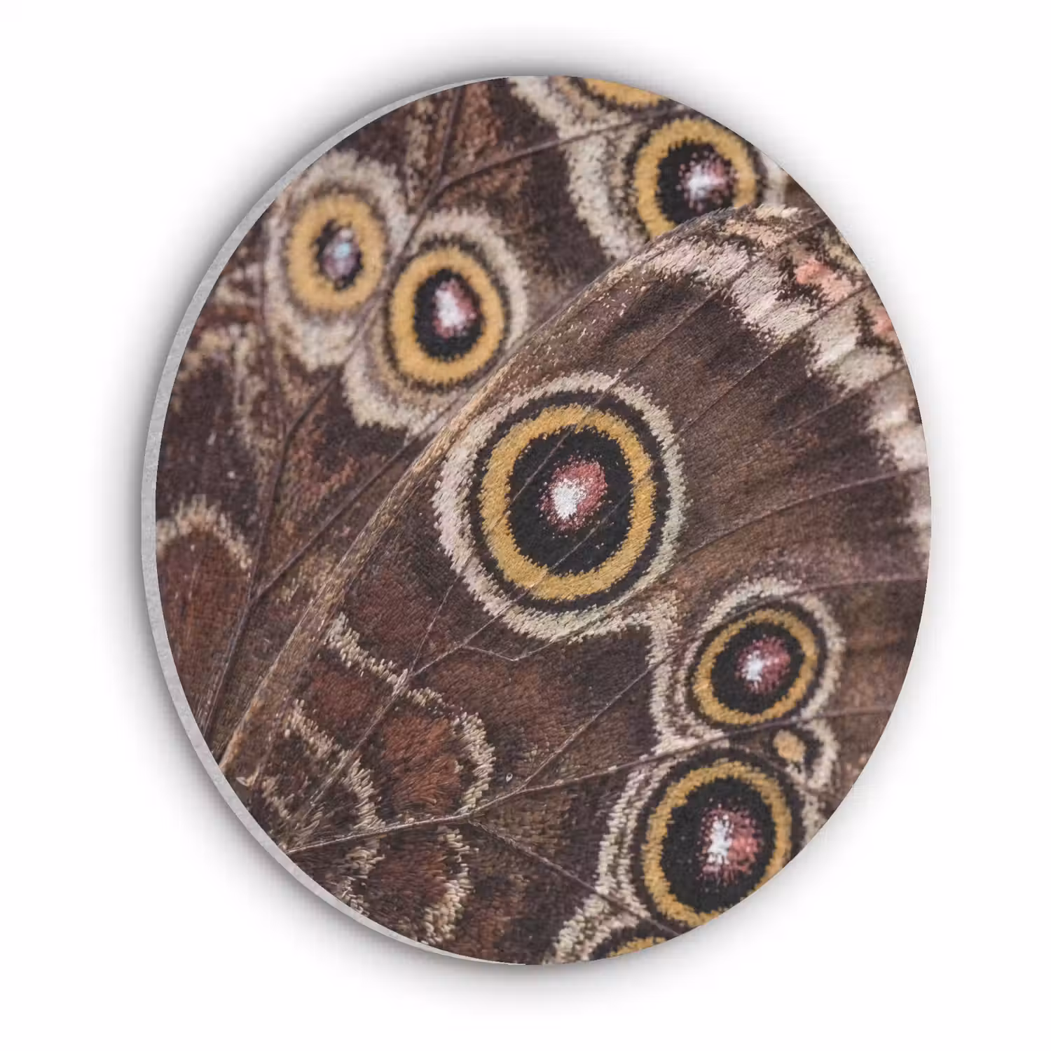 Vlinder - Vleugel - Abstract Akoestische PET Vilt - Rond klein -3d