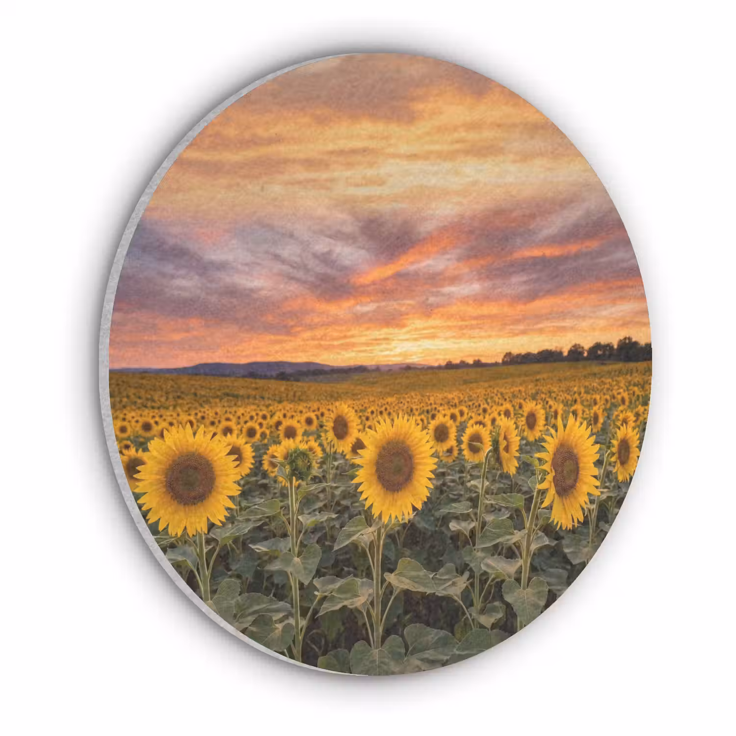 Zonnebloemen - Heuvellandschap - Geel Akoestische PET Vilt - Rond klein -3d