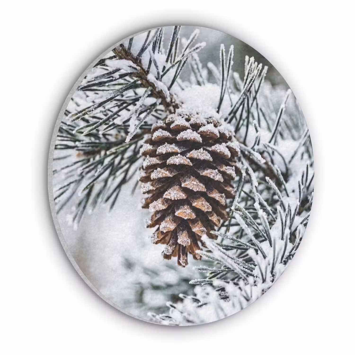 Dennenappel - Tak - Sneeuw - Winter - Sfeervol Akoestische PET Vilt - Rond klein -3d