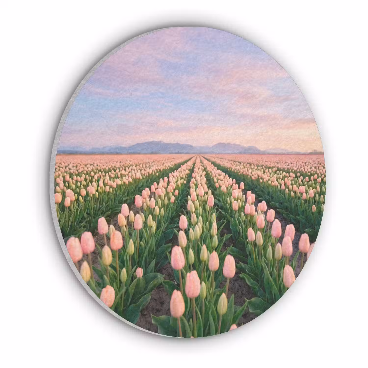 Tulpen - Landschap - Roze Akoestische PET Vilt - Rond klein -3d