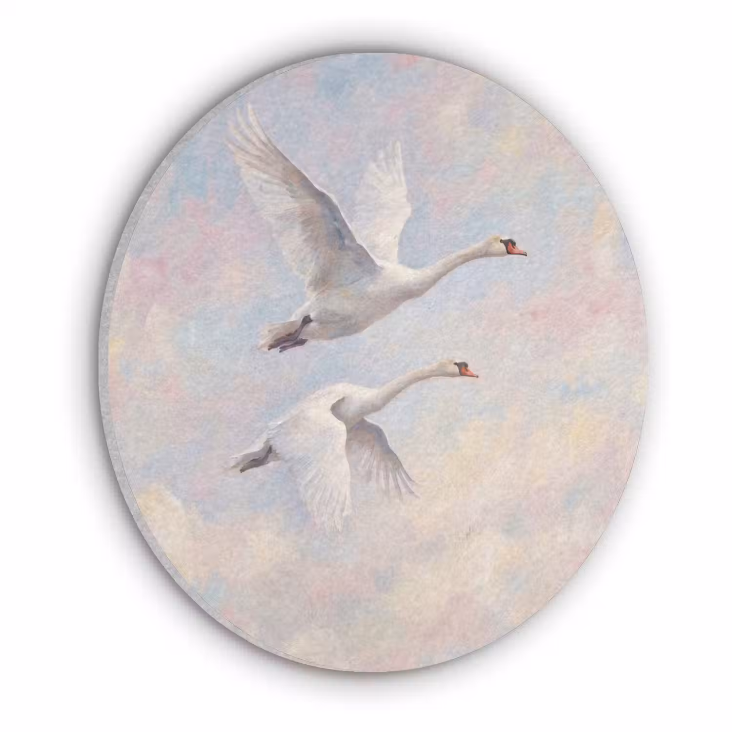 Vogel - Vliegend - Lucht - Modern - Pastel Akoestische PET Vilt - Rond klein -3d