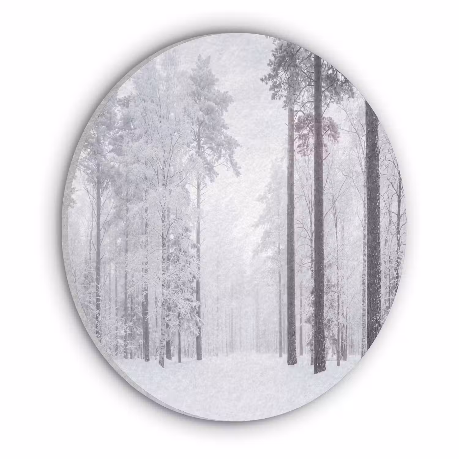 Bos - Sneeuw - Pad - Winter - Stilte Akoestische PET Vilt - Rond klein -3d