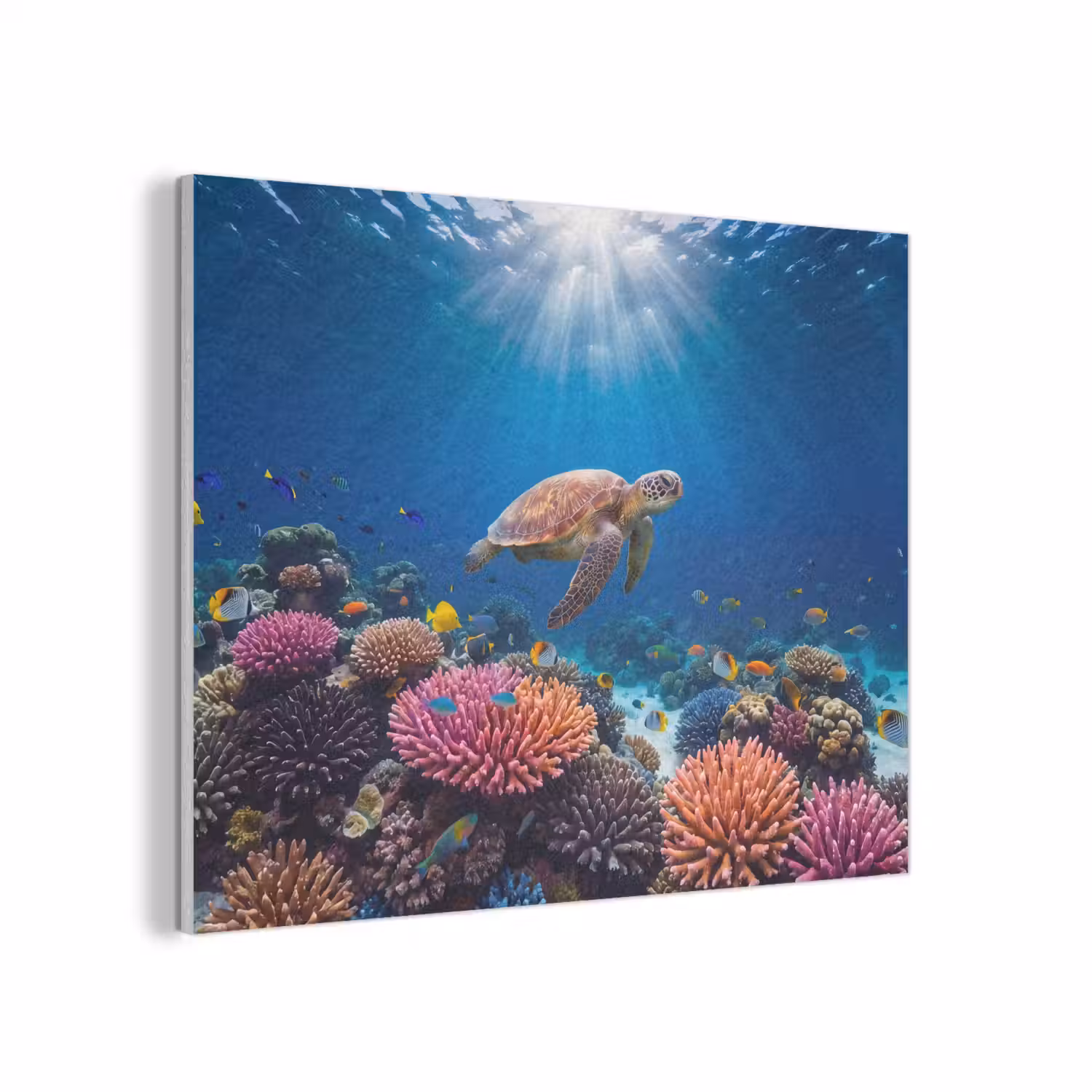 Schildpad - Koraalrif - Oceaan - Dieren - Blauw PET vilt klein -3d