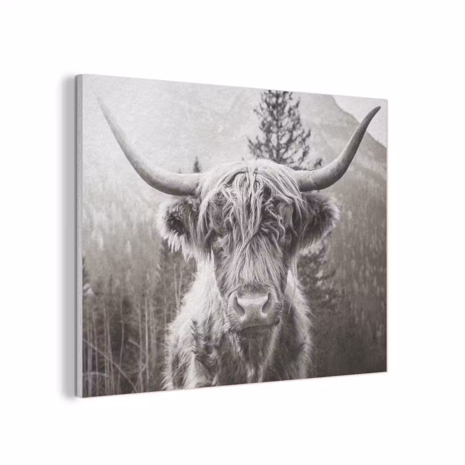 Schotse hooglander - Koe - Dieren - Zwart - Wit PET vilt klein -3d