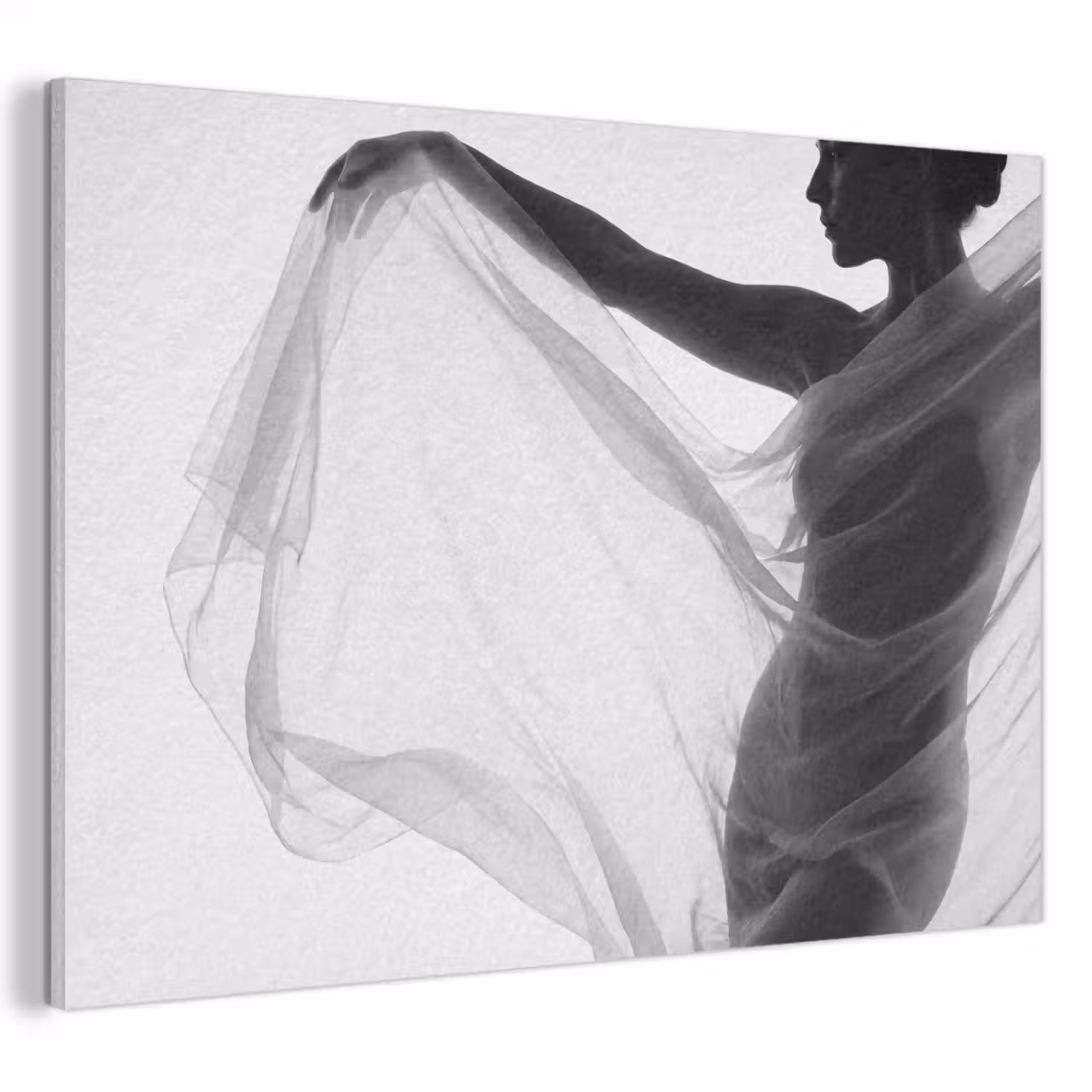 Silhouet - Sluier - Vormen - Zwart - Wit - Sensueel PET vilt klein -3d