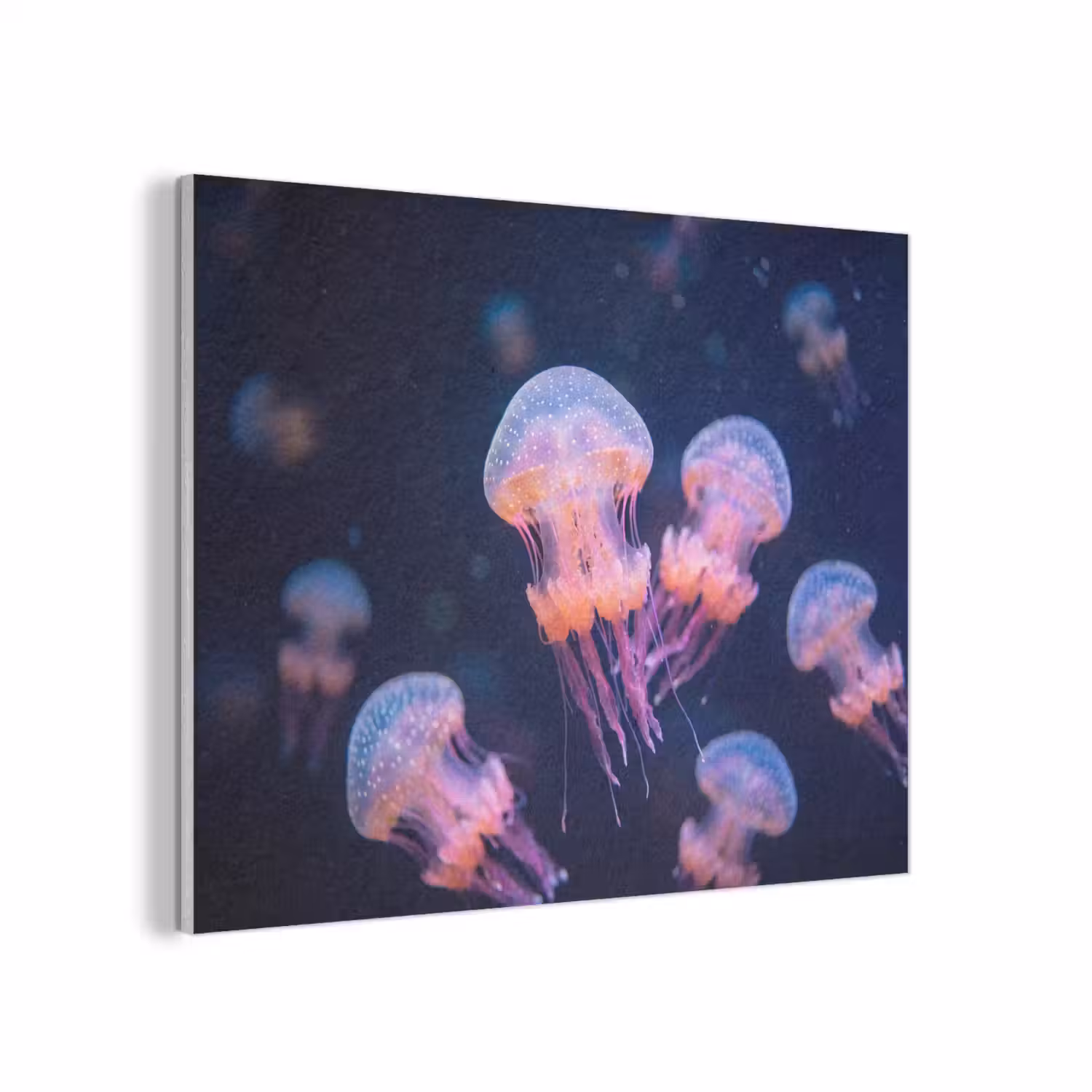 Dier - Onderwater - Natuur - Roze - Mysterieus PET vilt klein -3d