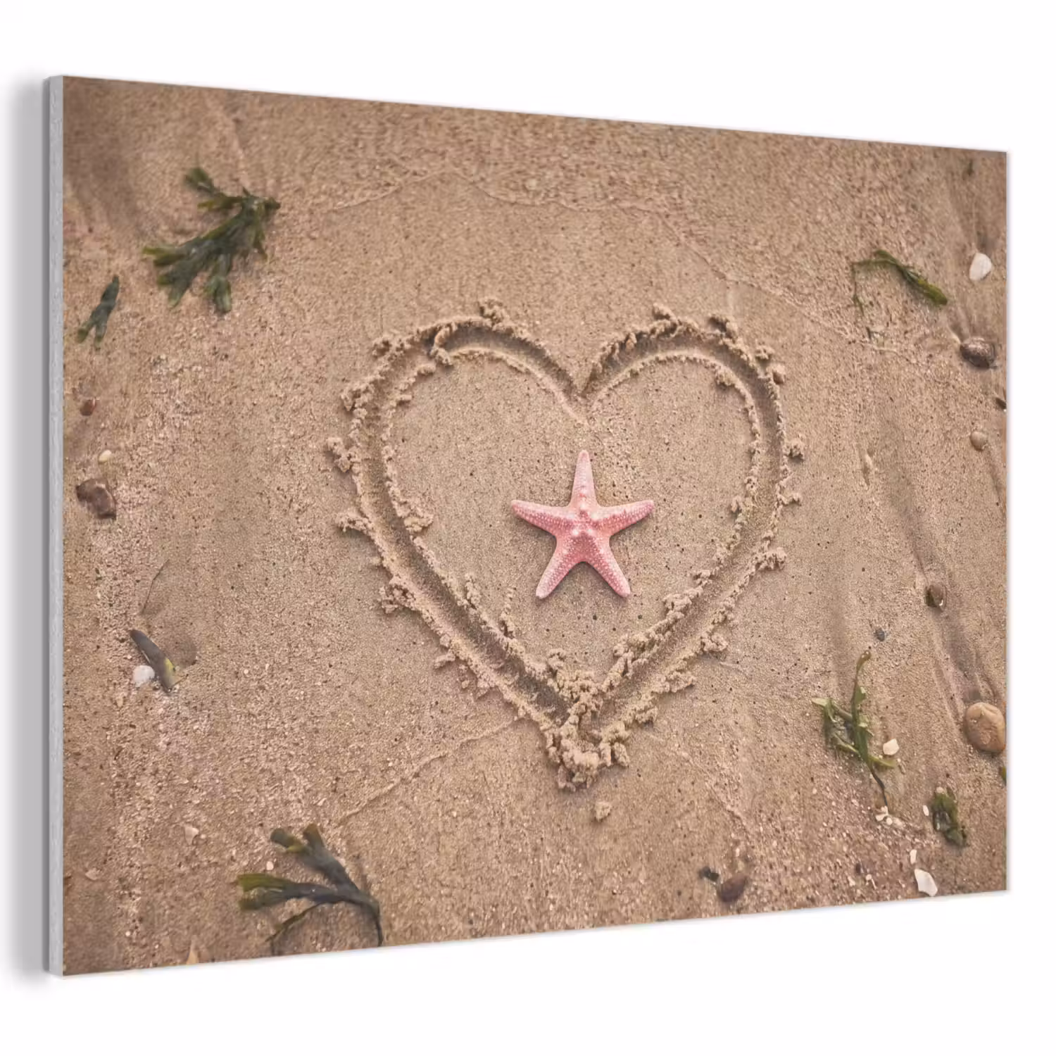 Dieren - Hart - Strand - Zand - Roze PET vilt klein -3d