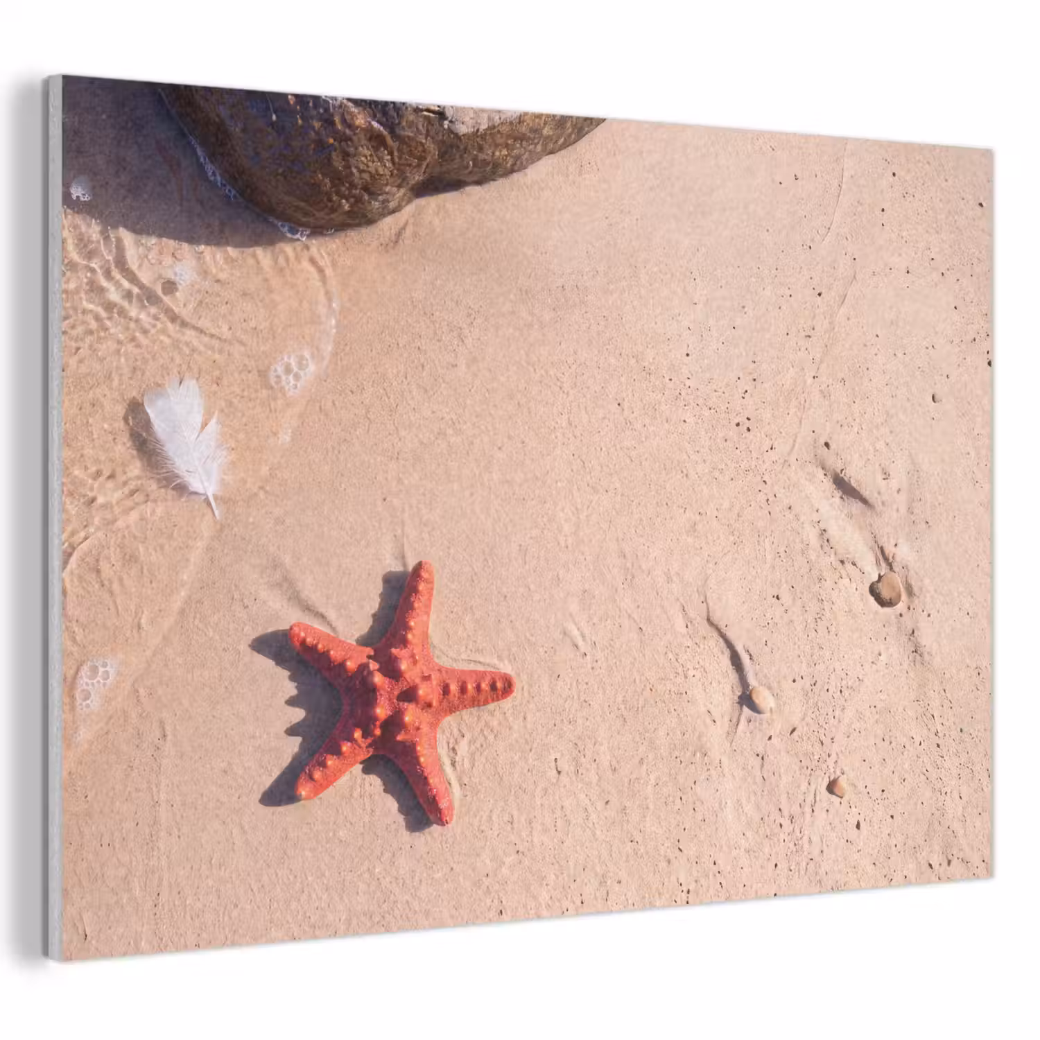 Dieren - Strand - Zee - Natuur - Rood PET vilt klein -3d