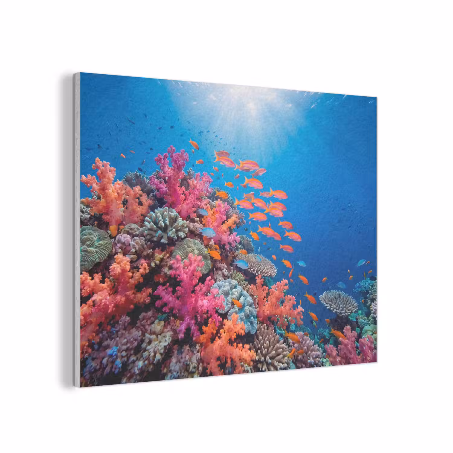 Onderwater - Koraalrif - Vissen - Oceaan - Natuur PET vilt klein -3d