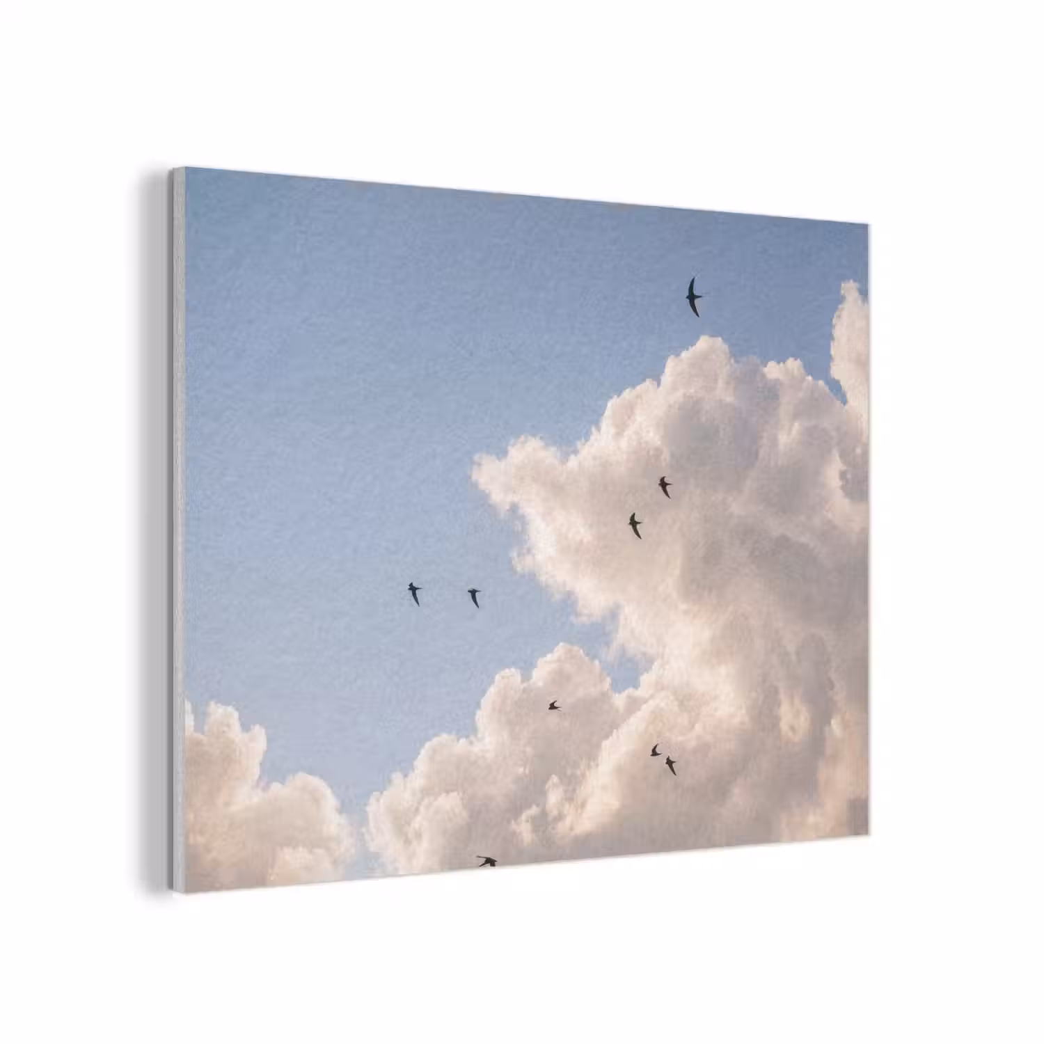 Vogel - Vlucht - Wolken - Natuur - Blauw PET vilt klein -3d